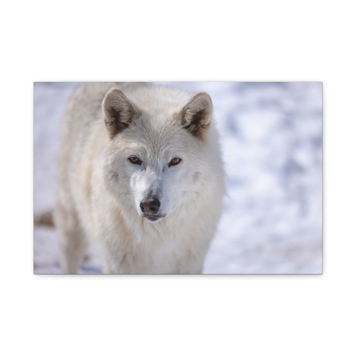 Charlee Canvas Print