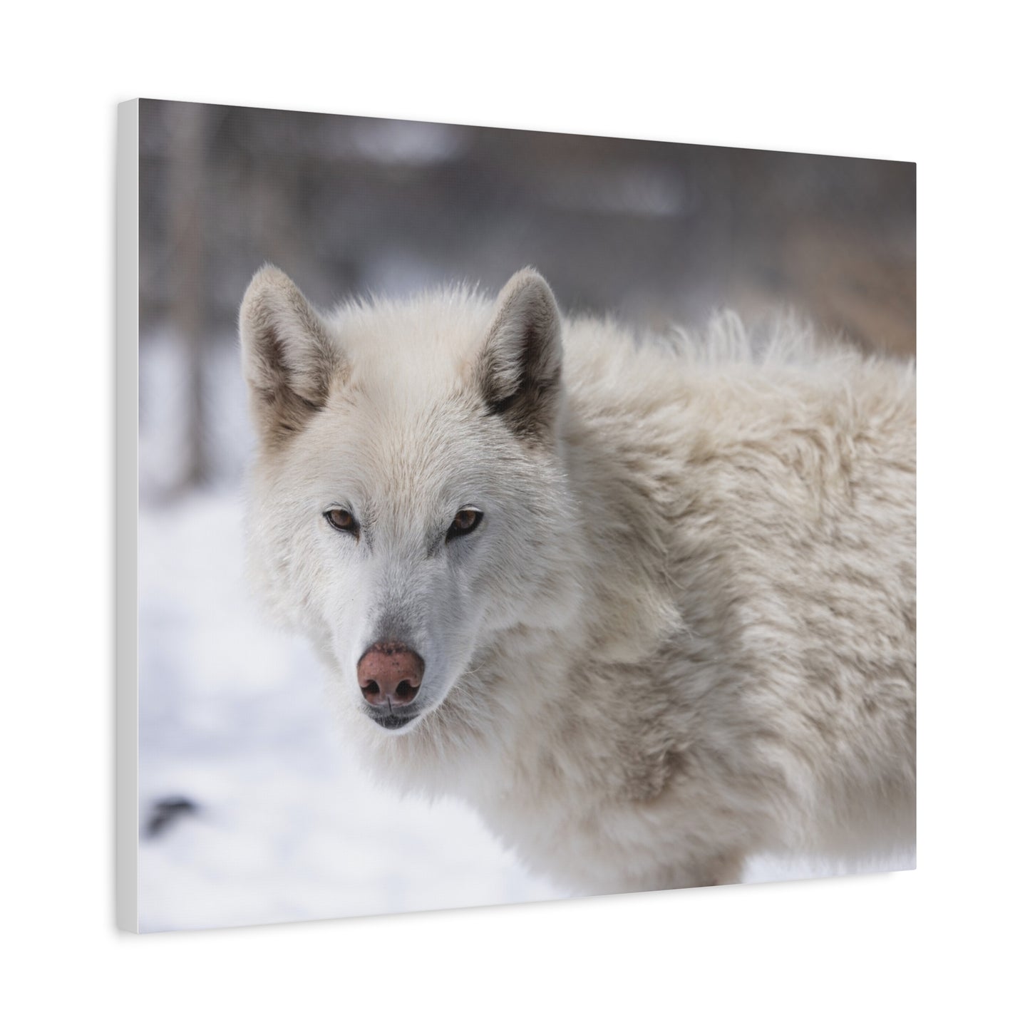 Annie Canvas Print