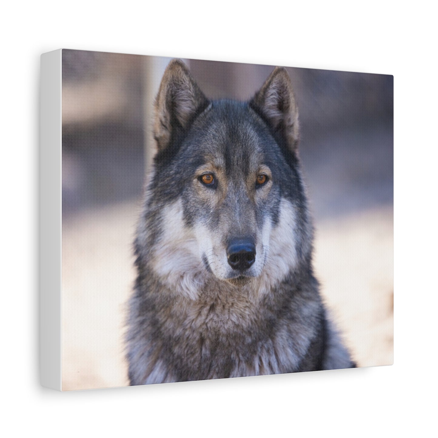 Wylie Canvas Print