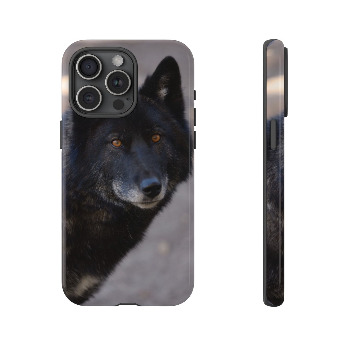 Lakota Phone Case