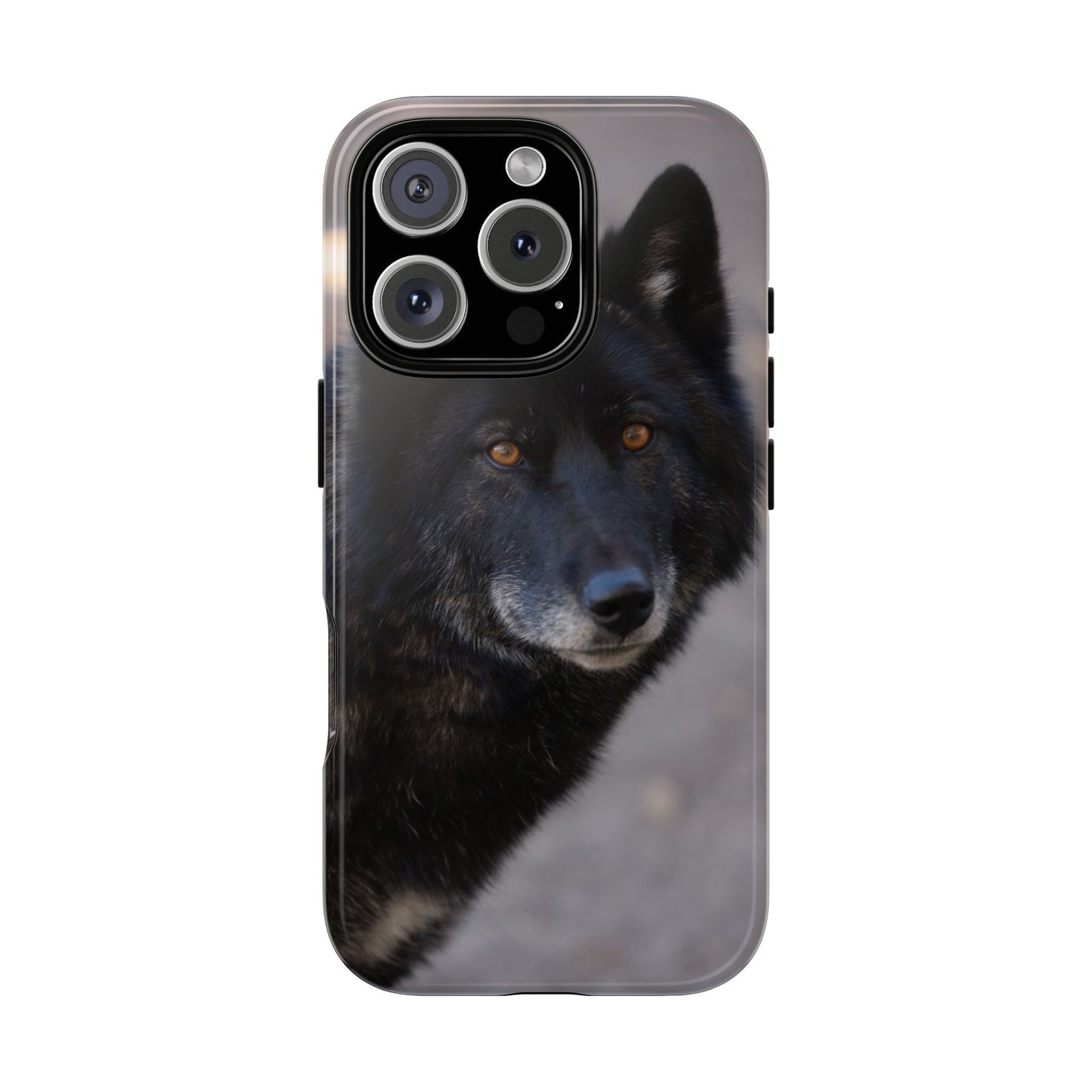 Lakota Phone Case