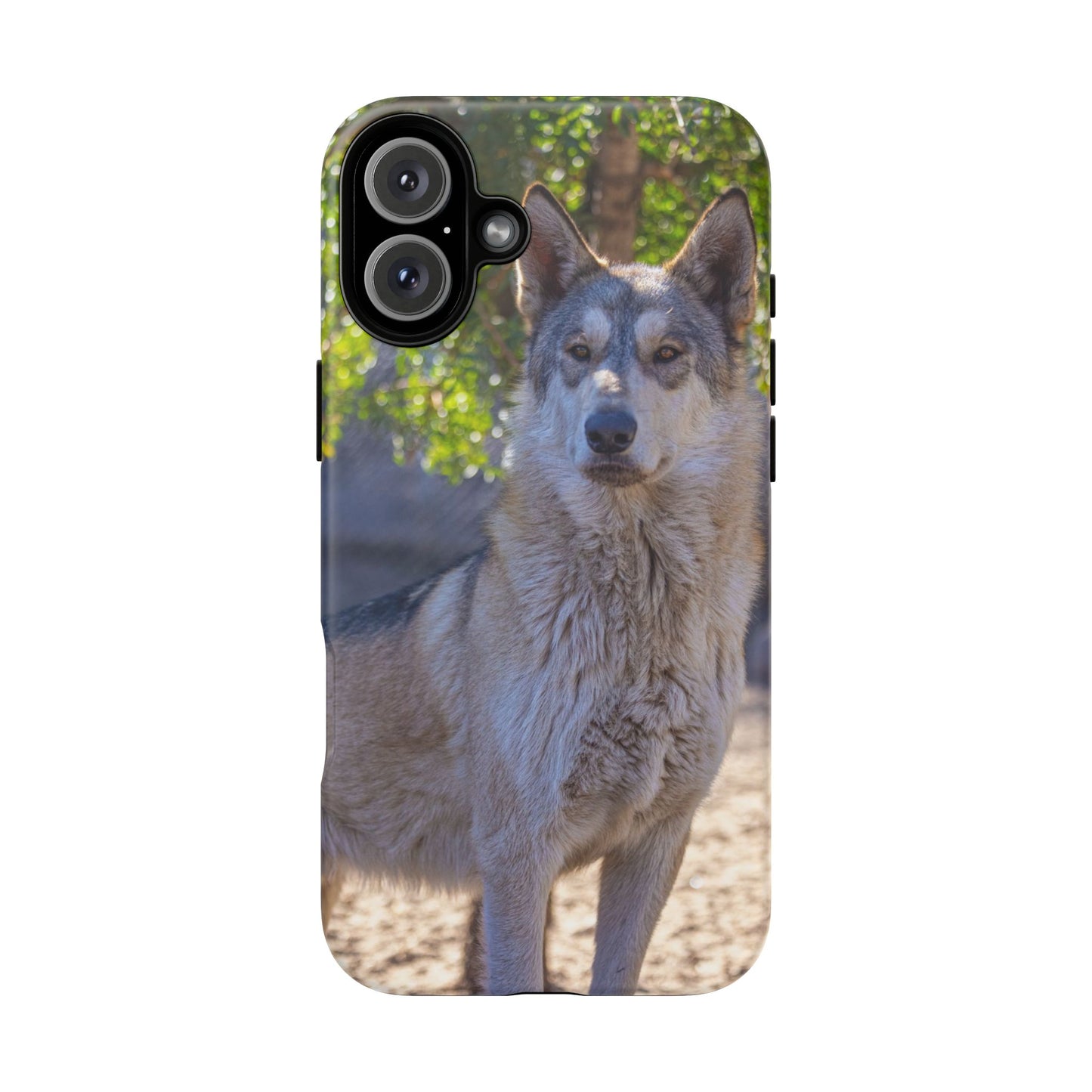 Rome Phone Case