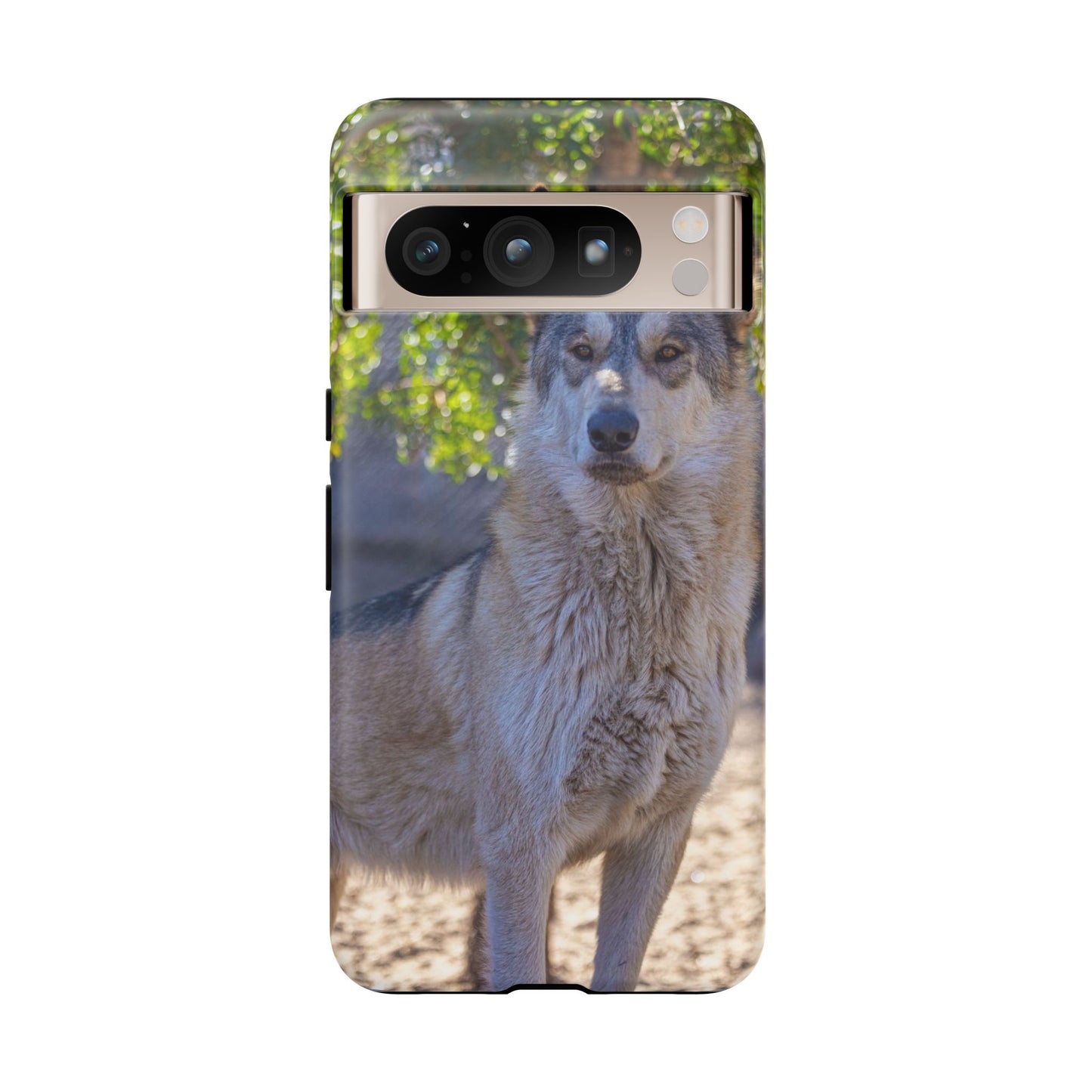 Rome Phone Case