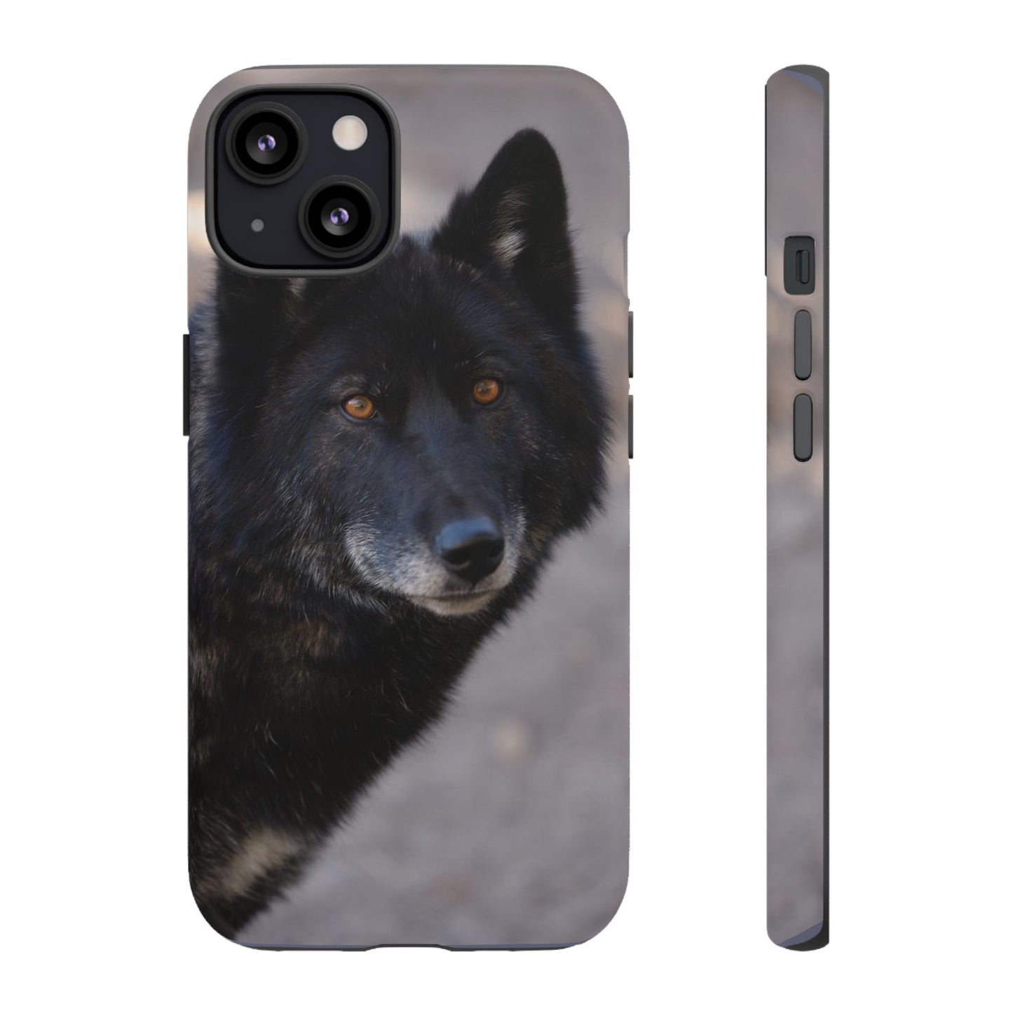 Lakota Phone Case