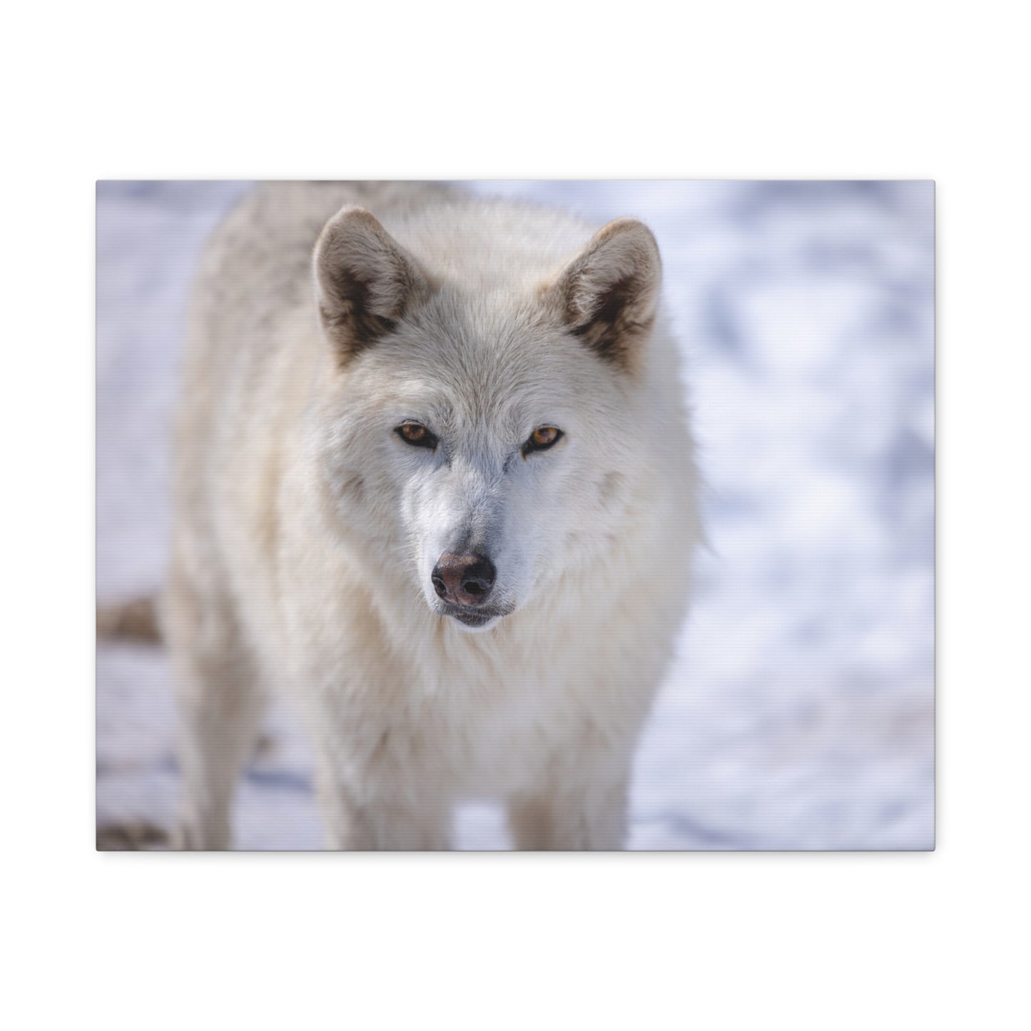 Charlee Canvas Print