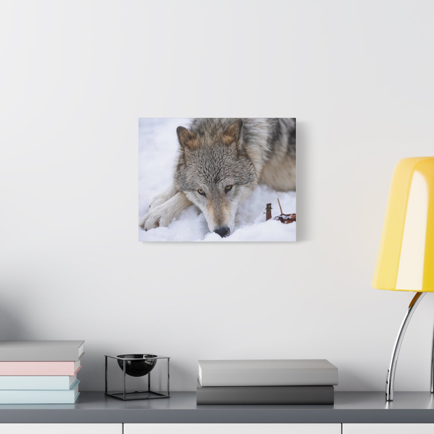 Nukumi Canvas Print