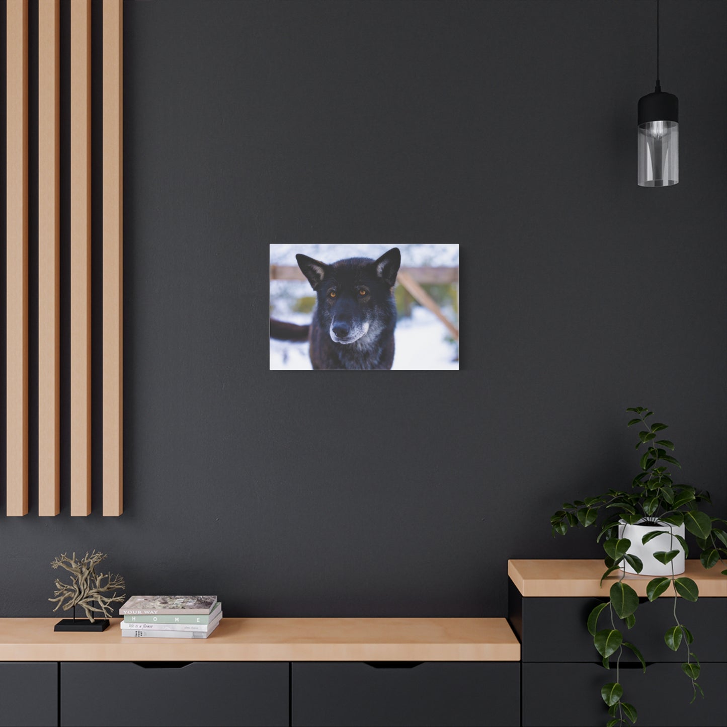 Gemma Canvas Print