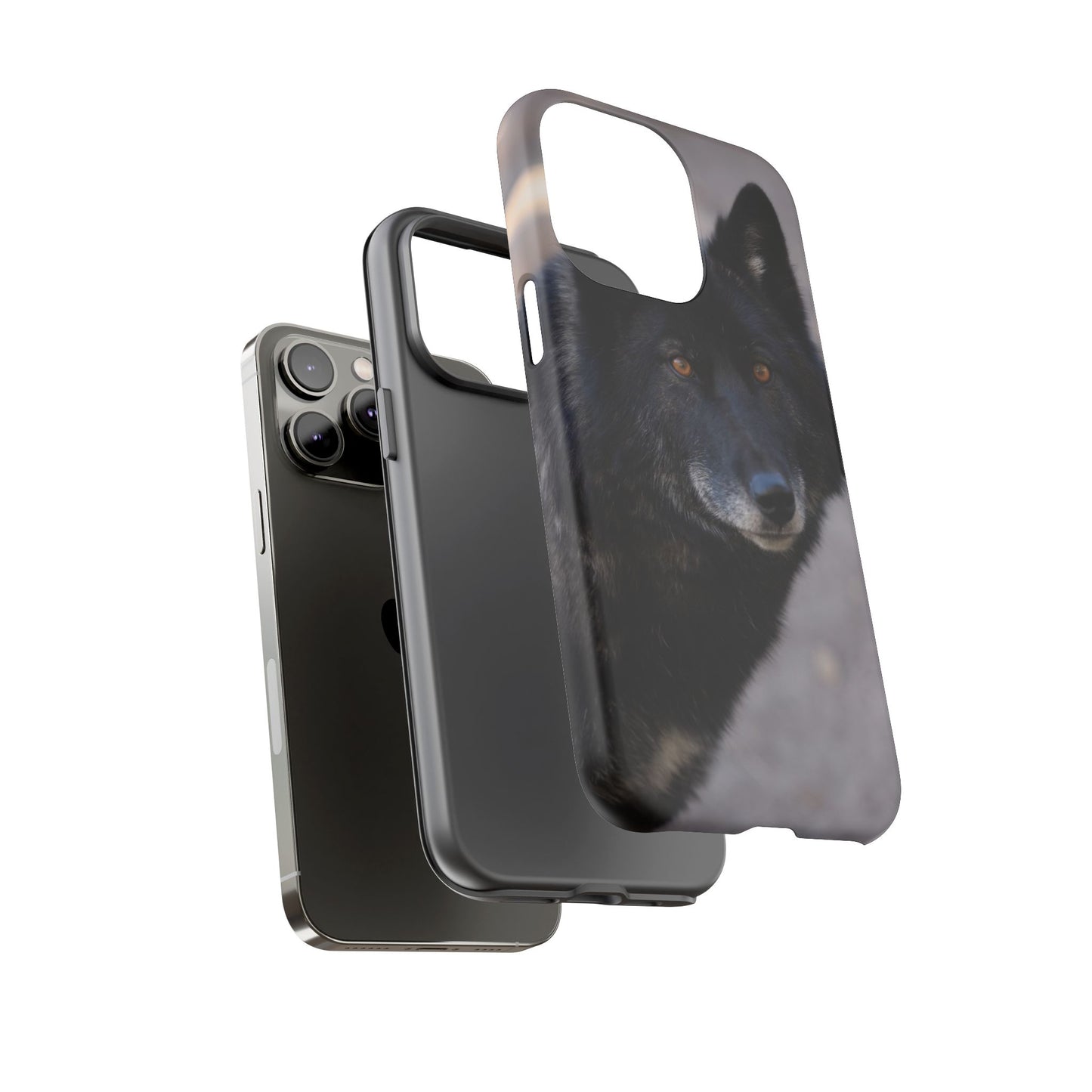 Lakota Phone Case