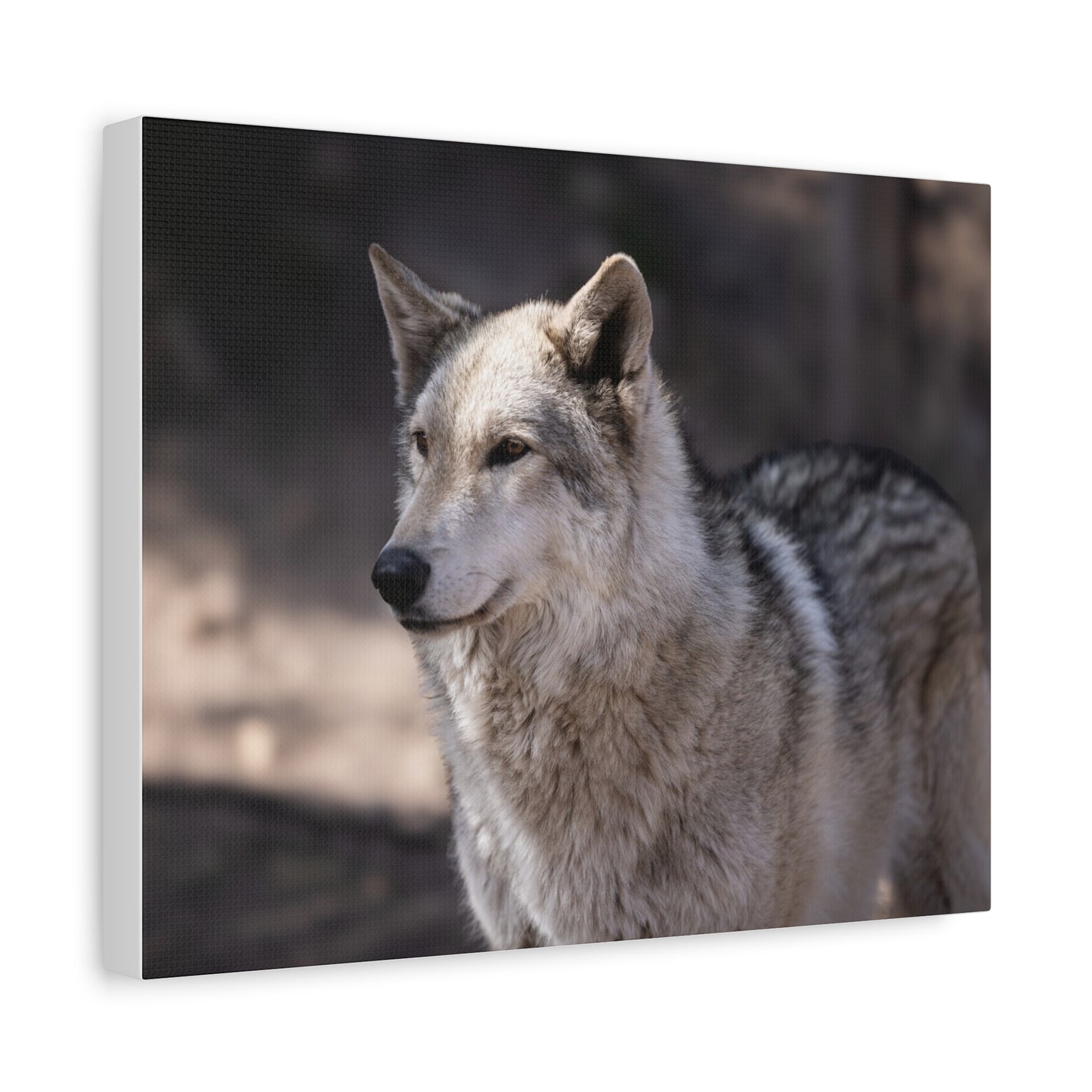 Torben Canvas Print