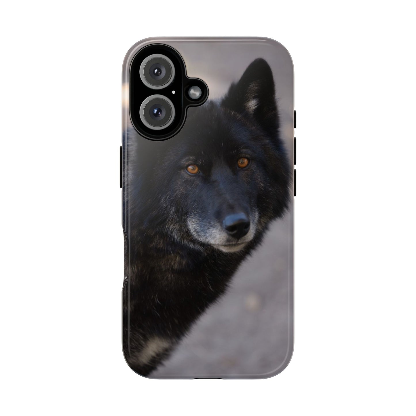 Lakota Phone Case