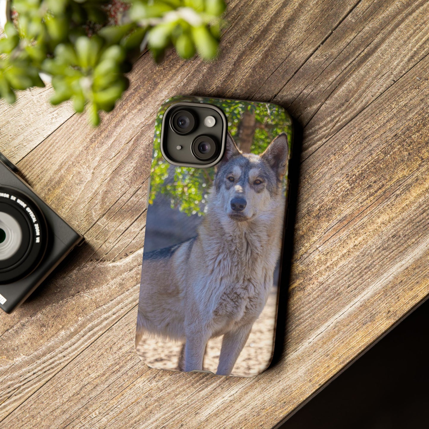 Rome Phone Case