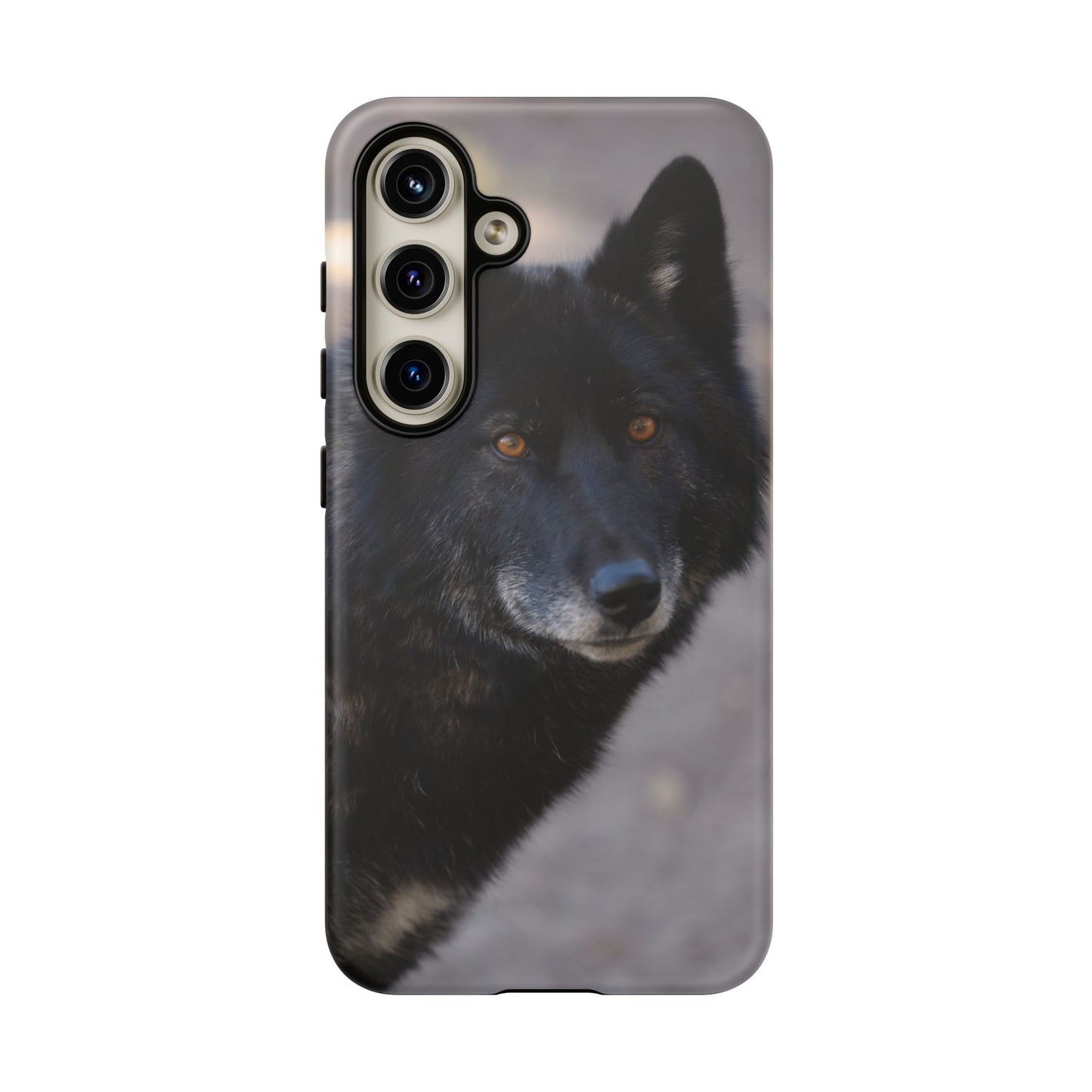 Lakota Phone Case