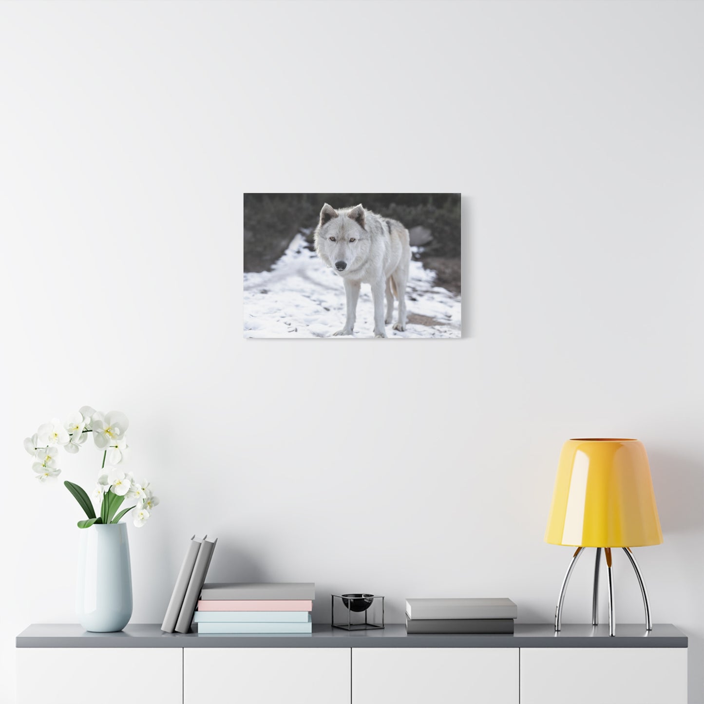 Leo Canvas Print