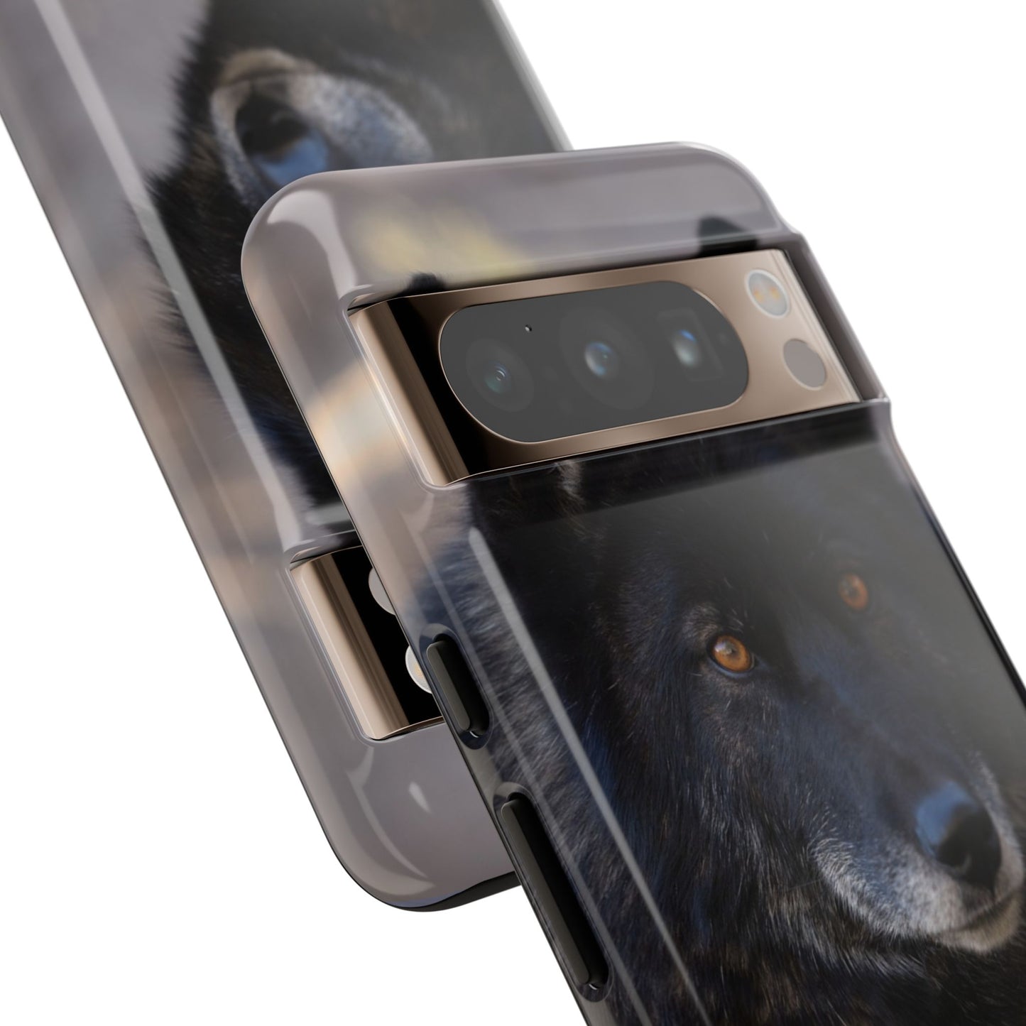 Lakota Phone Case