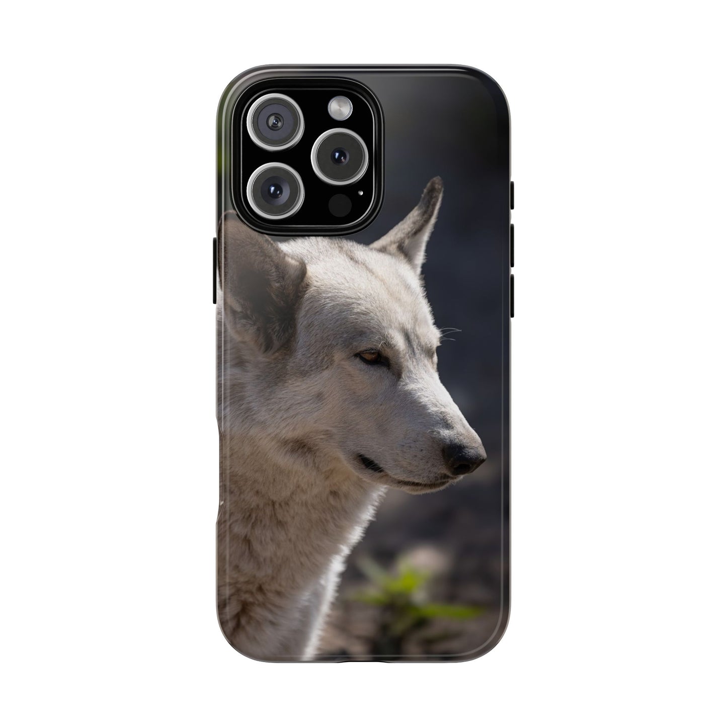Beo Phone Case