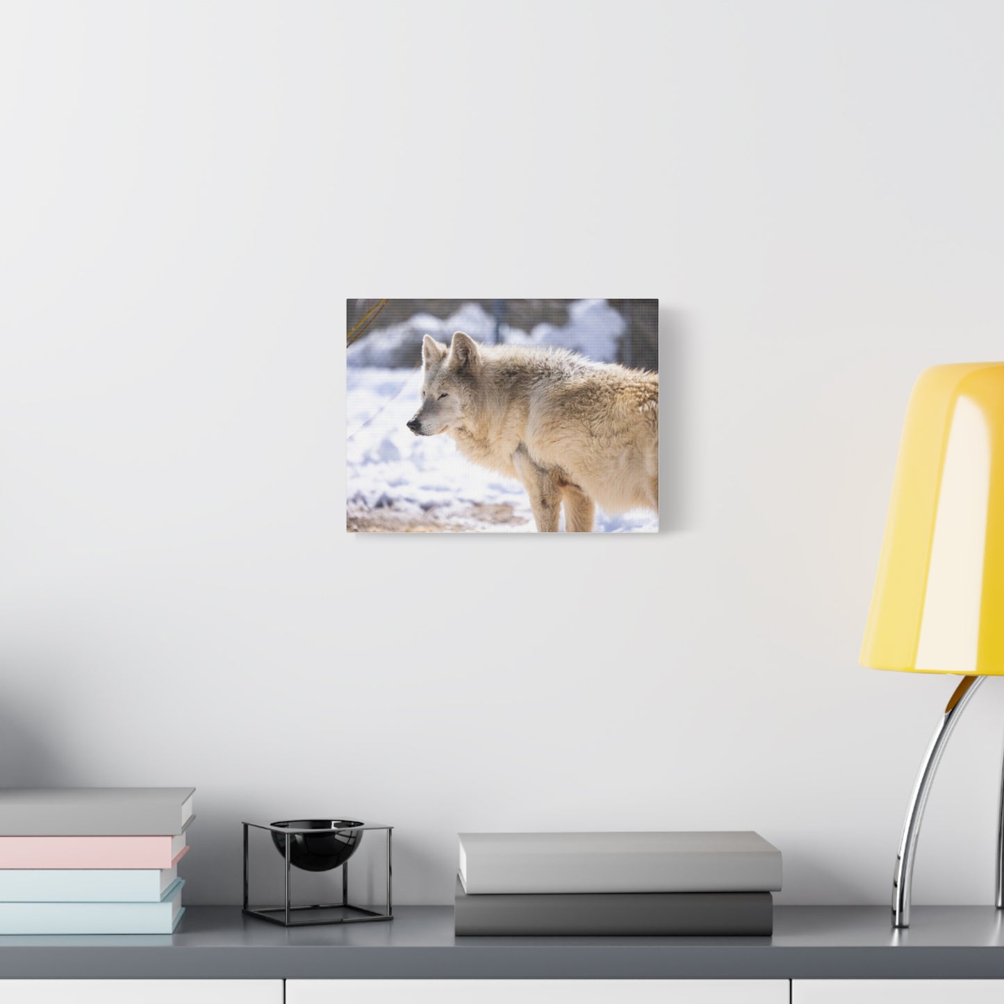 Max Canvas Print