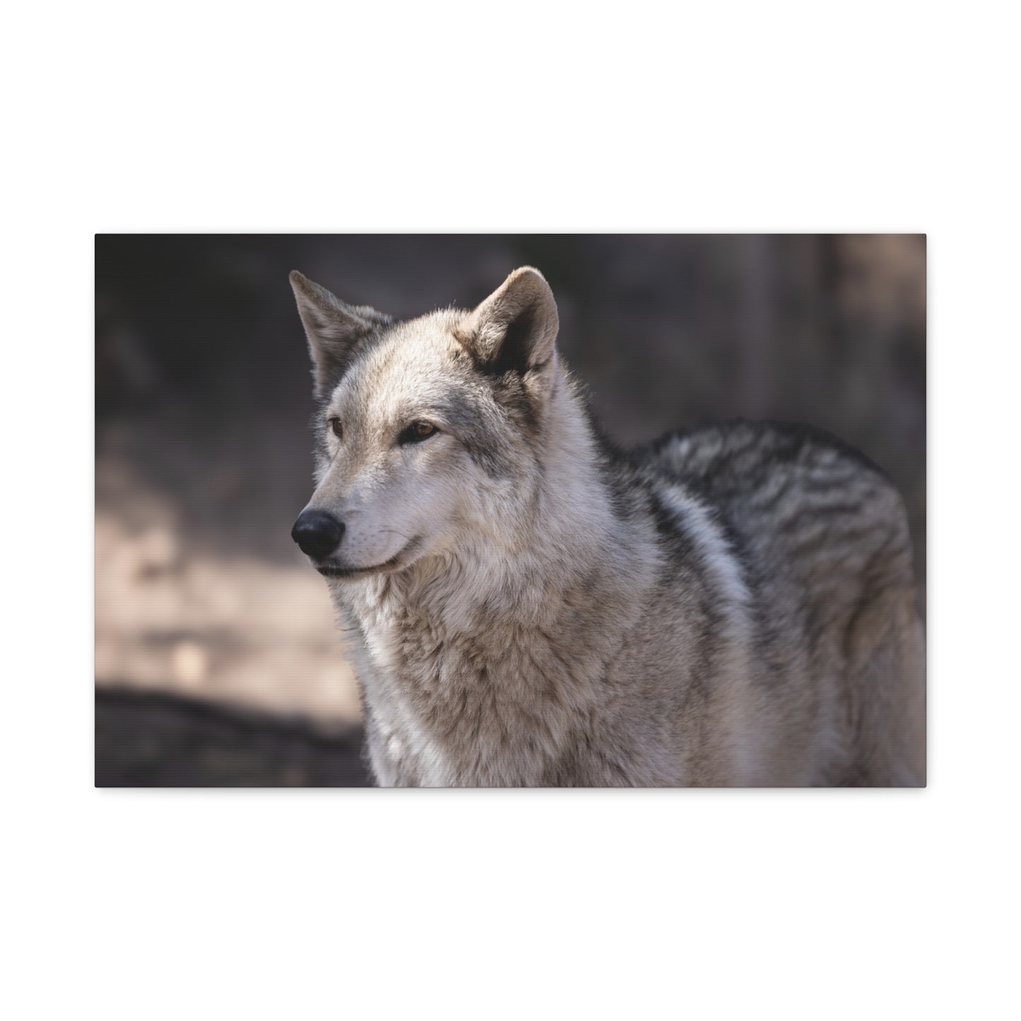 Torben Canvas Print