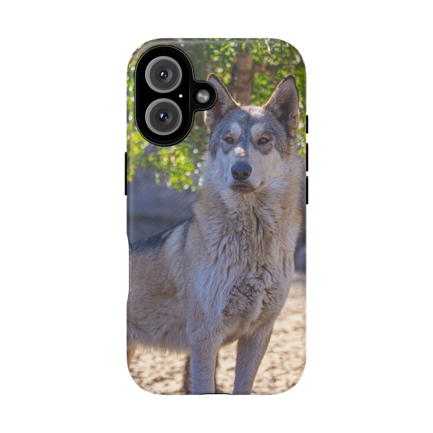Rome Phone Case