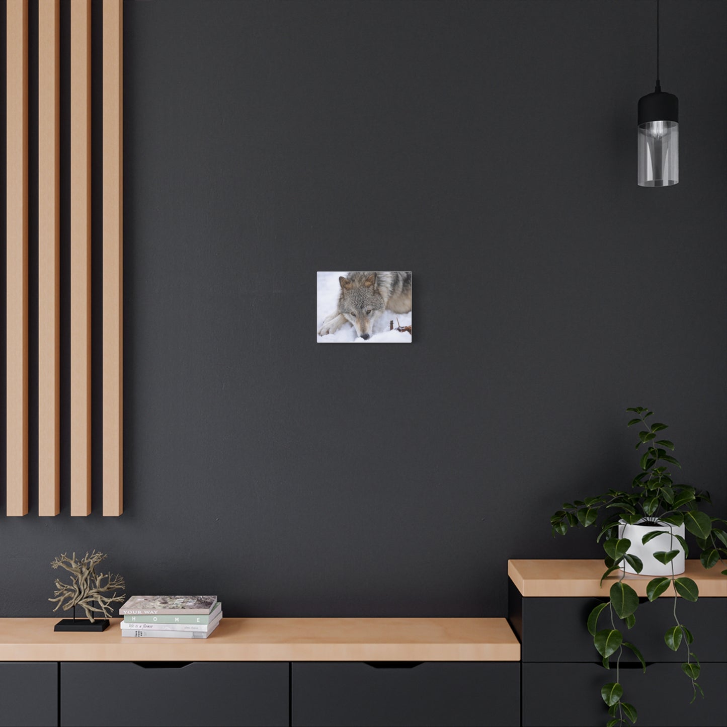 Nukumi Canvas Print