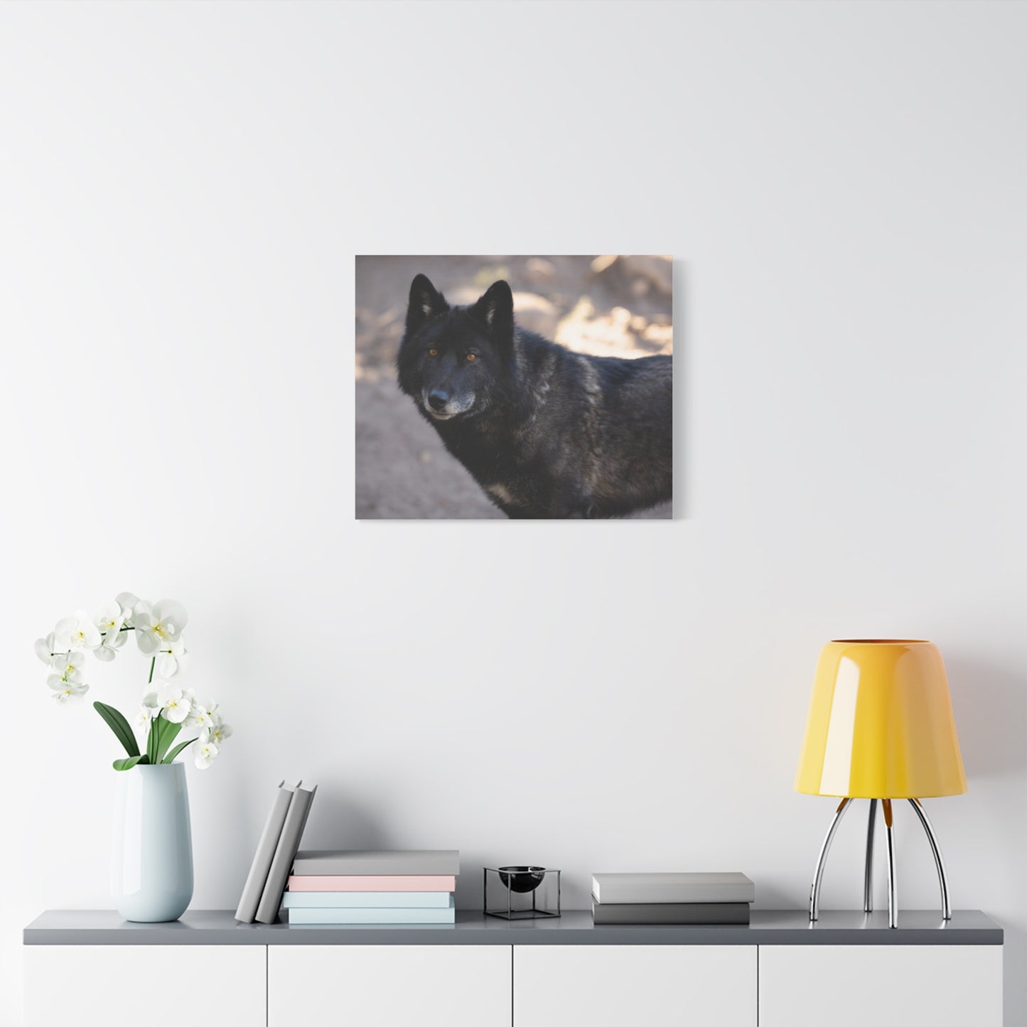 Lakota Canvas Print