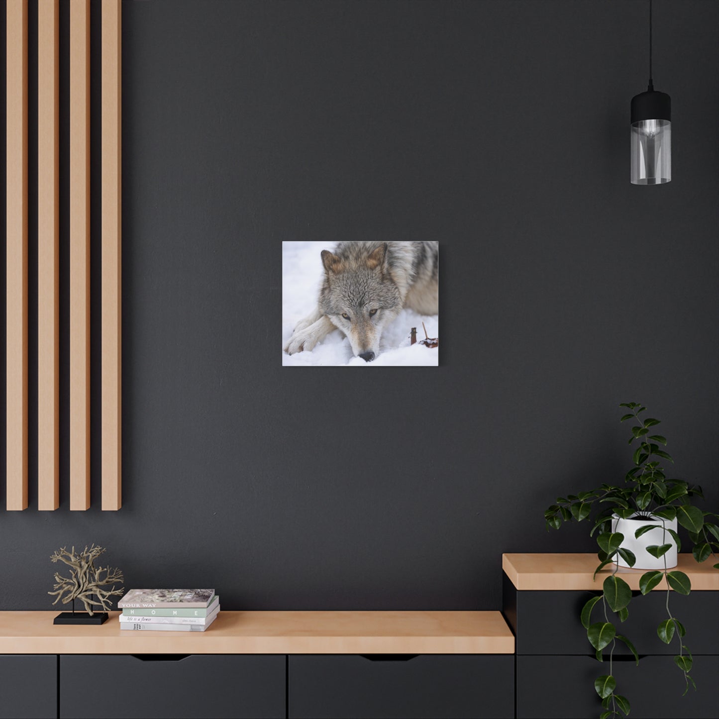 Nukumi Canvas Print