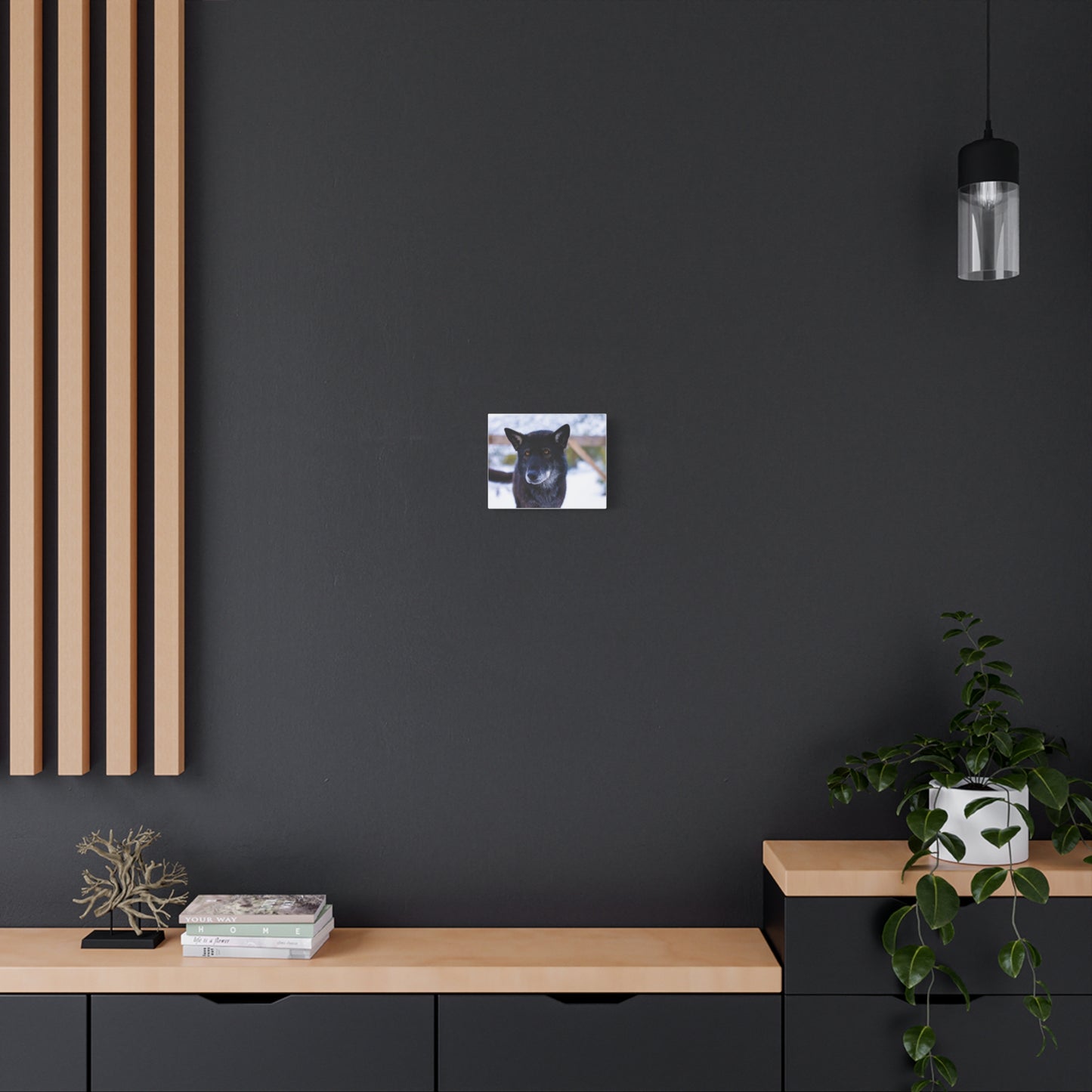 Gemma Canvas Print