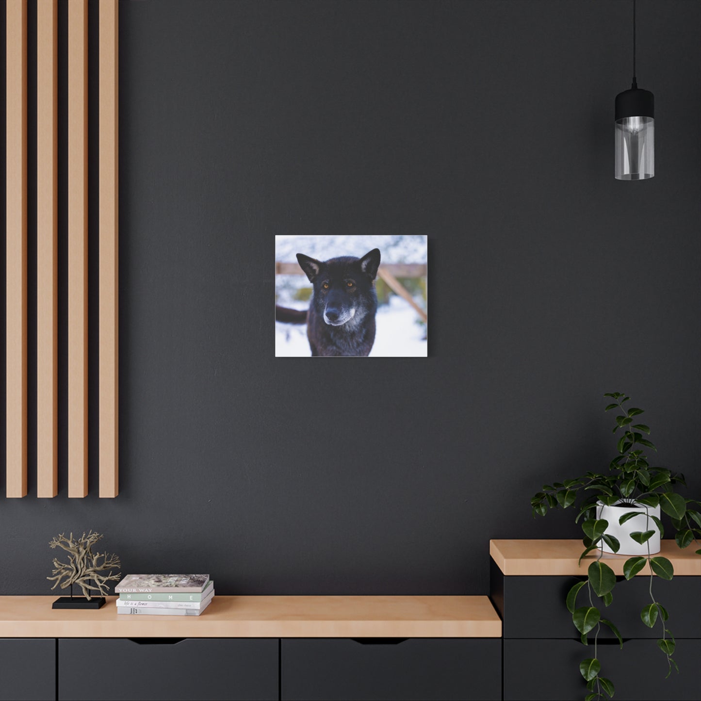 Gemma Canvas Print