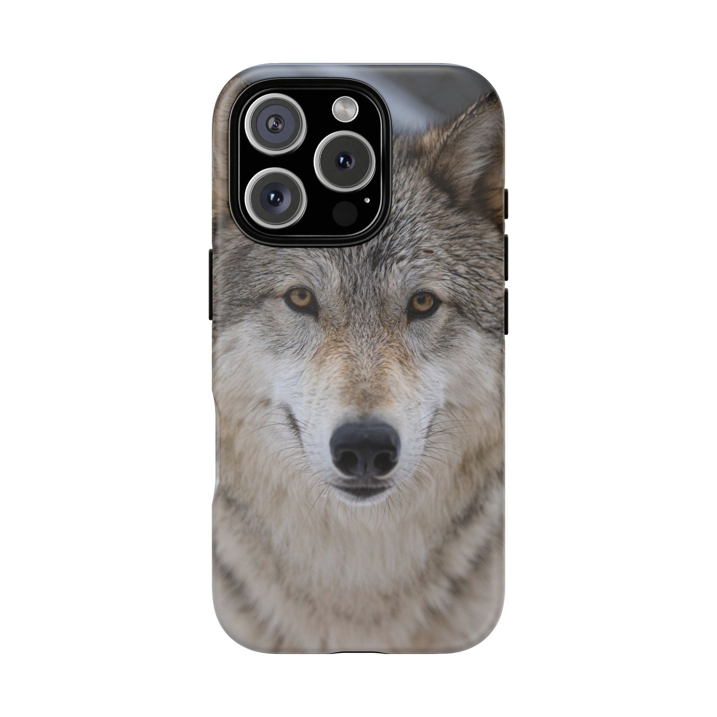 Nukumi Phone Case