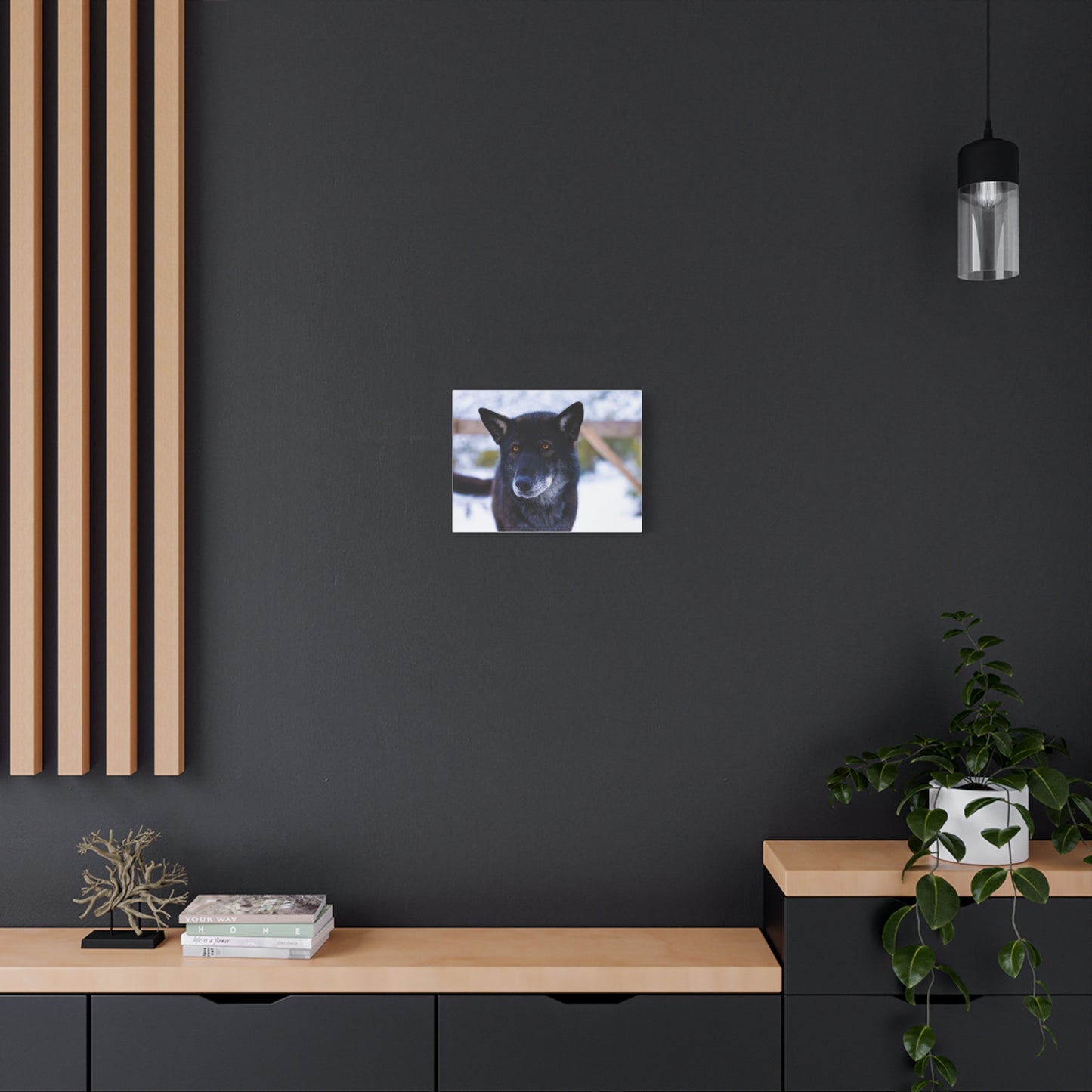 Gemma Canvas Print