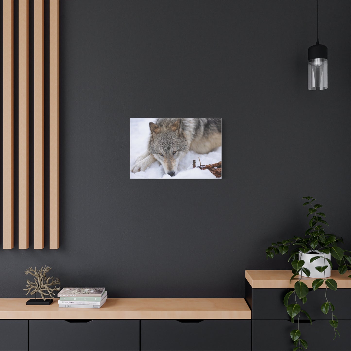 Nukumi Canvas Print