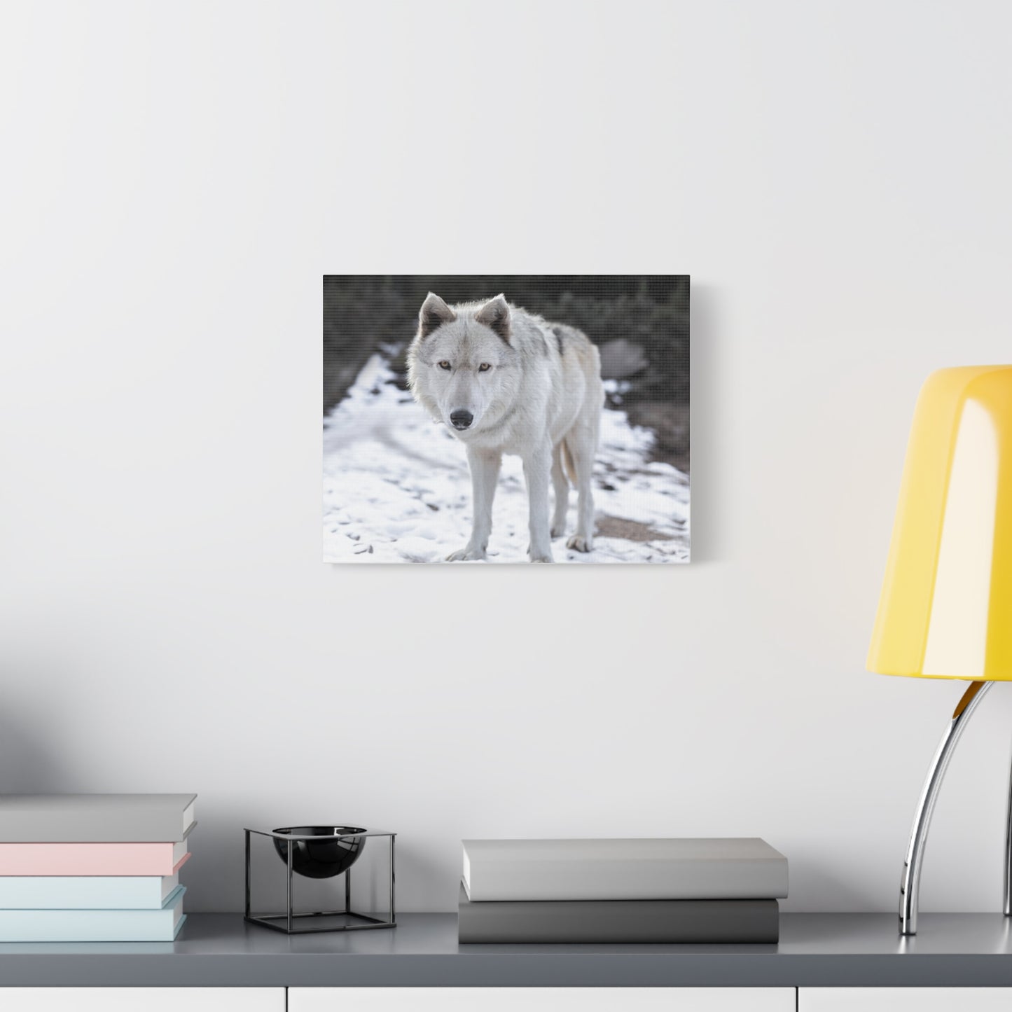Leo Canvas Print