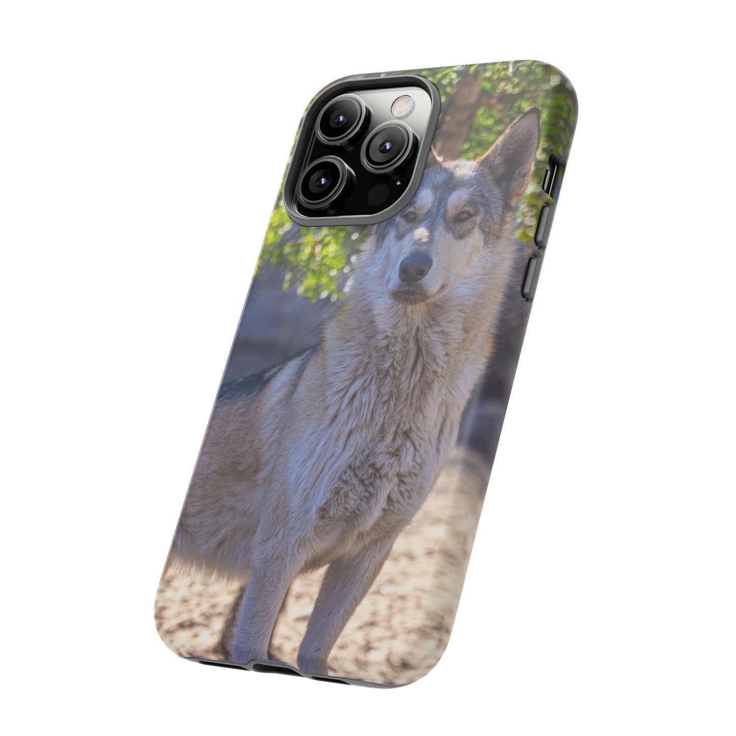 Rome Phone Case