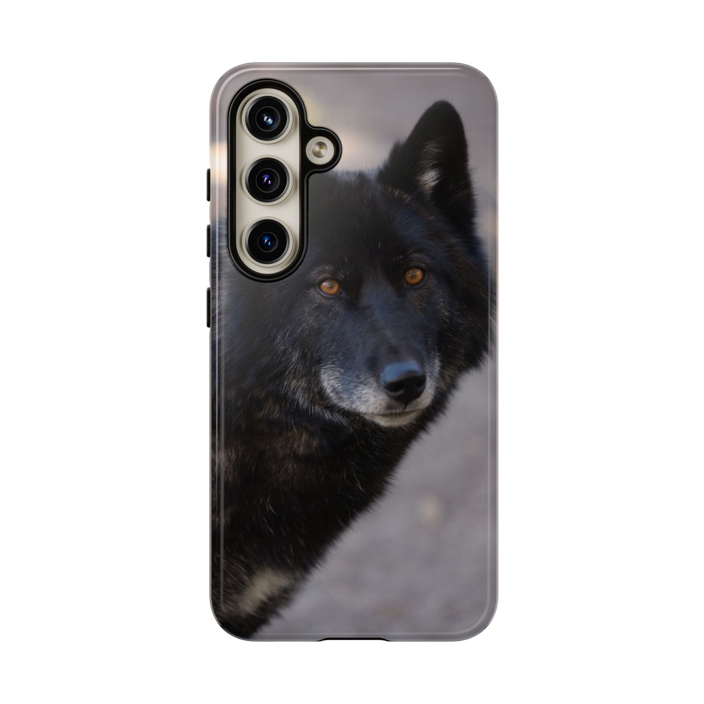 Lakota Phone Case
