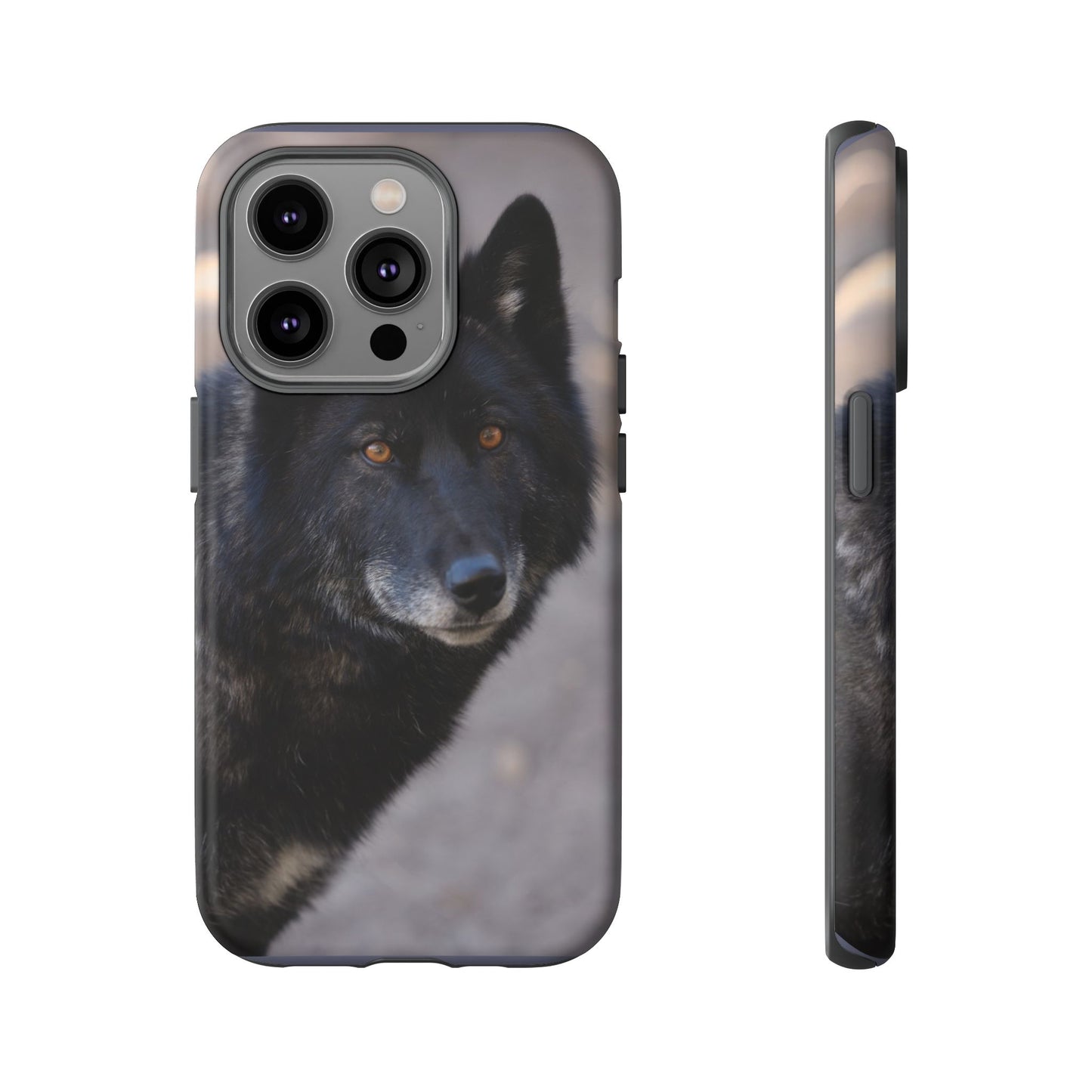 Lakota Phone Case