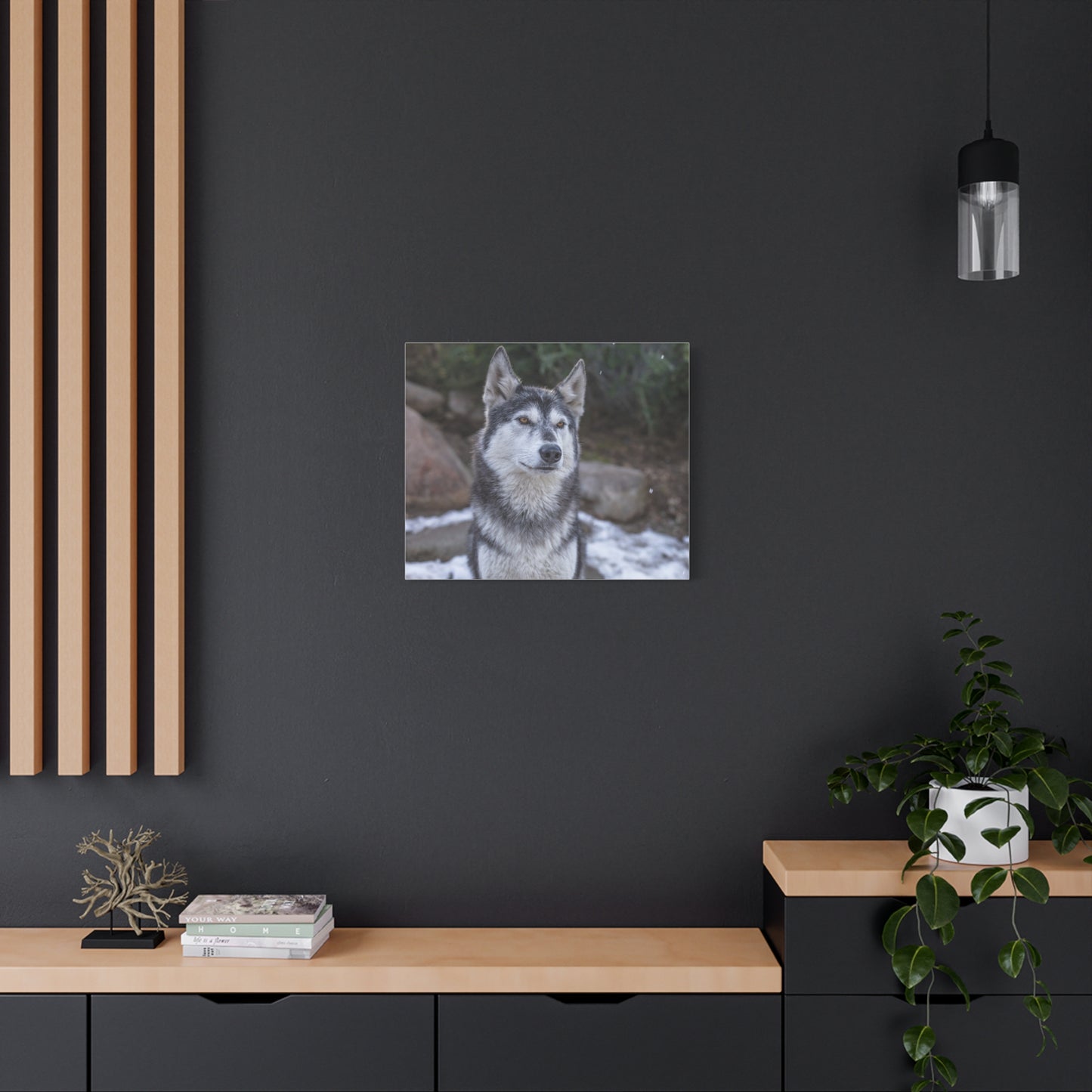 Luna Canvas Print