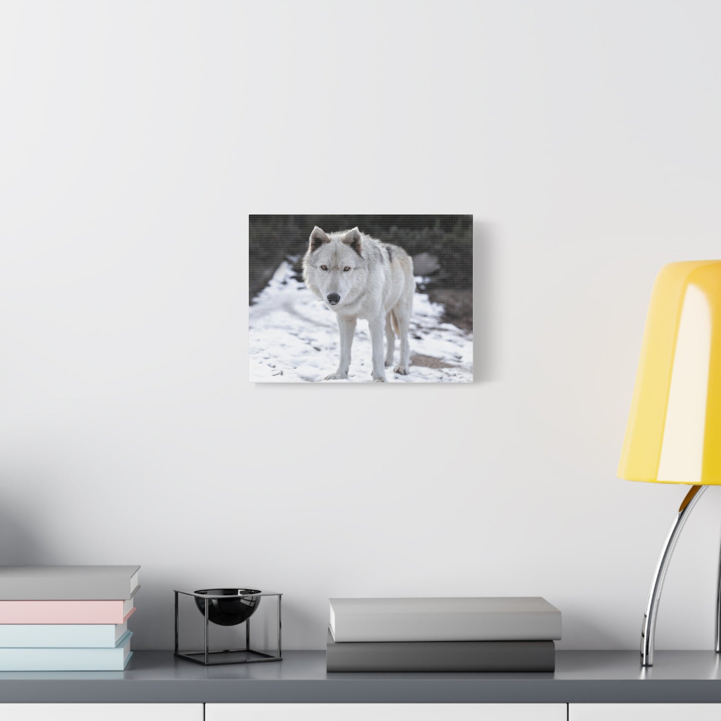 Leo Canvas Print