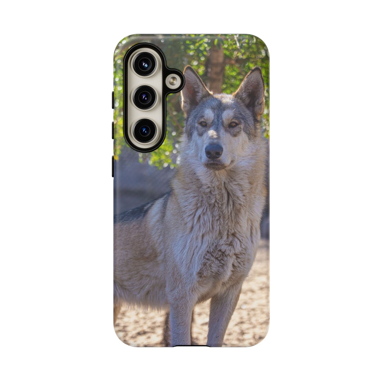 Rome Phone Case