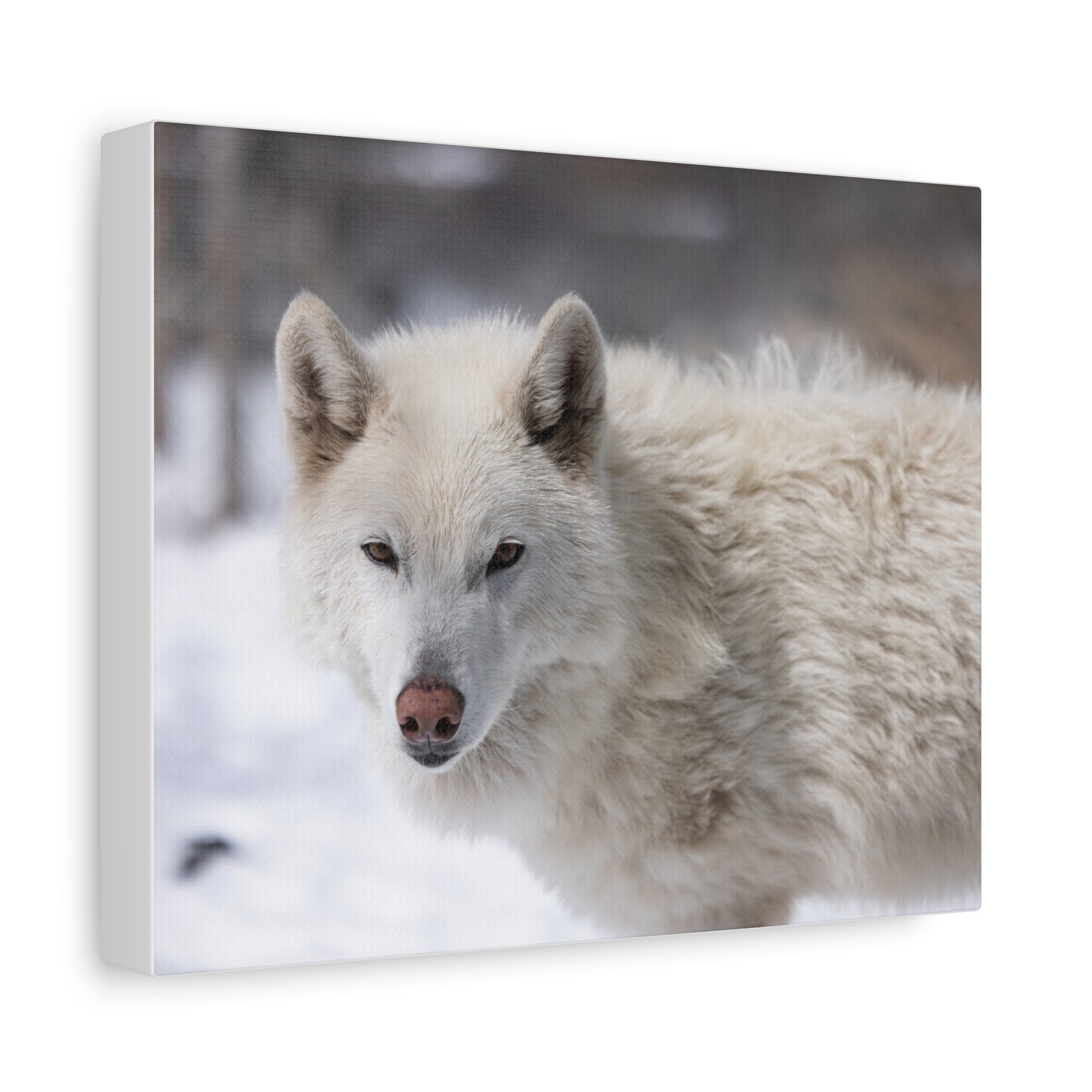 Annie Canvas Print
