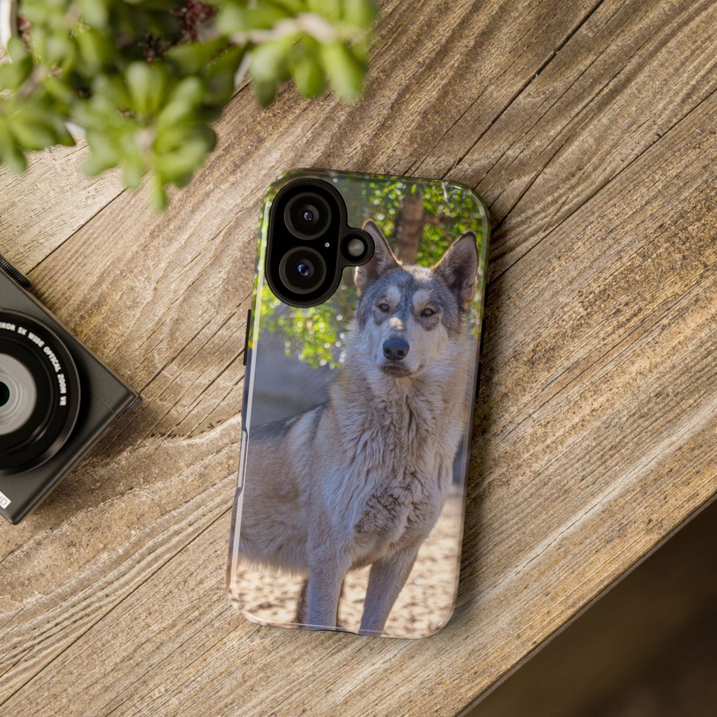 Rome Phone Case