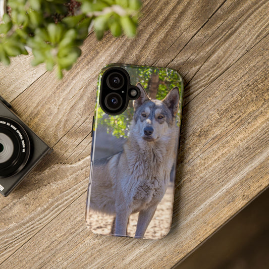 Rome Phone Case
