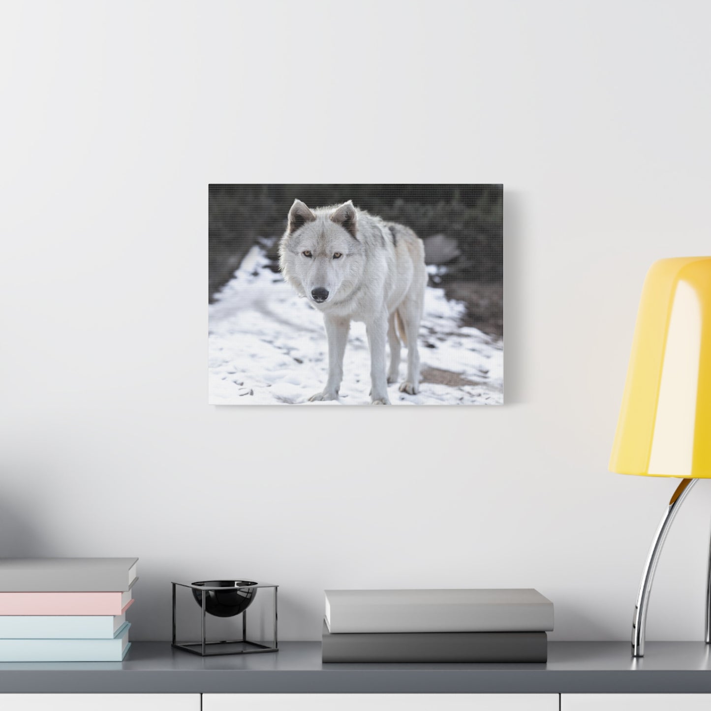 Leo Canvas Print