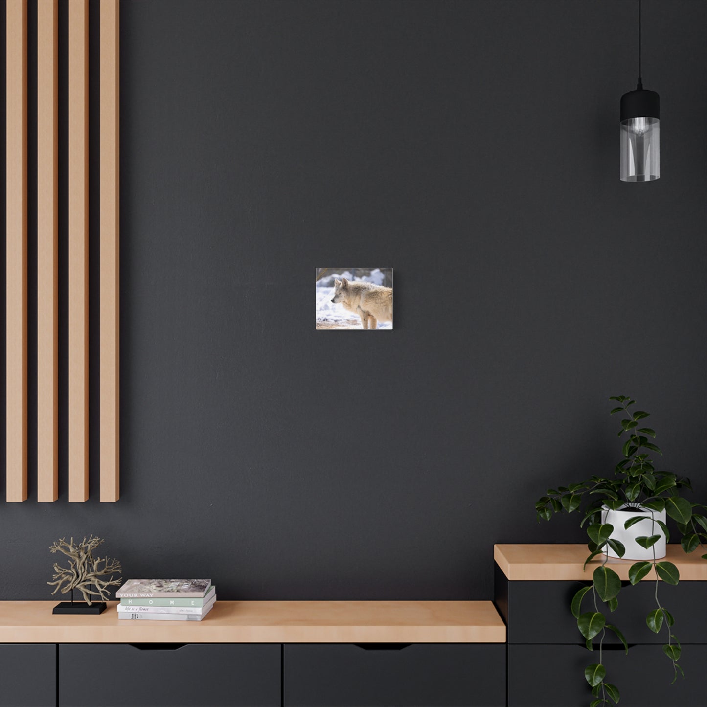 Max Canvas Print