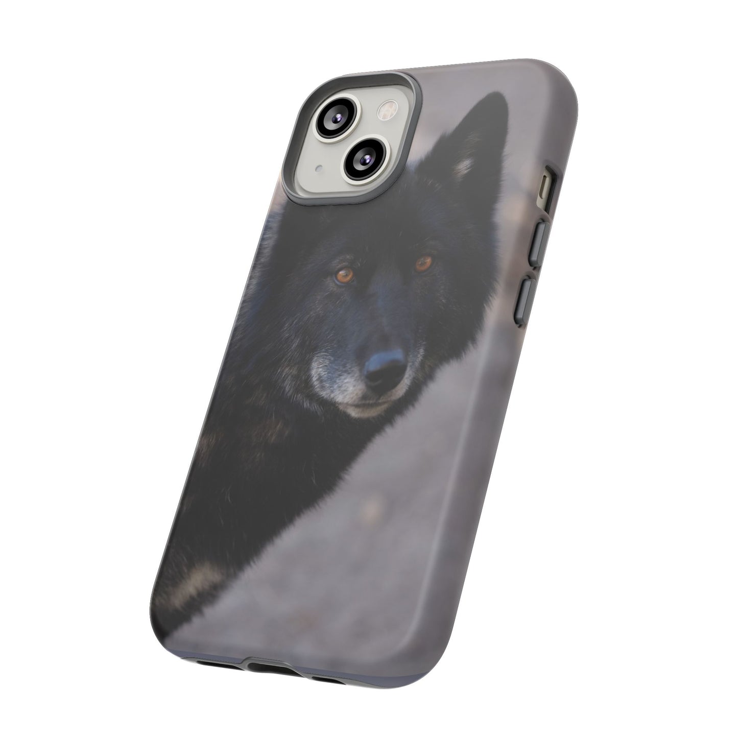 Lakota Phone Case