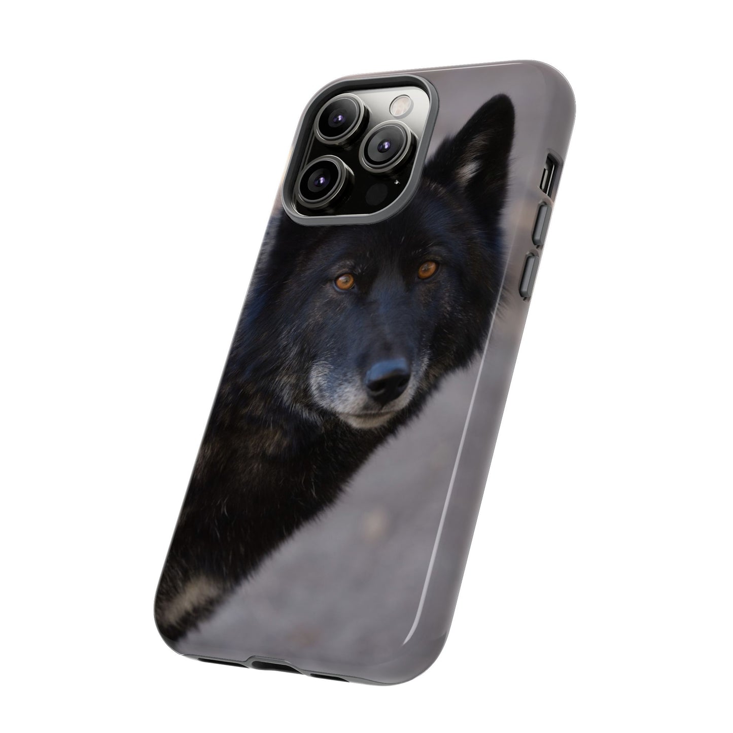 Lakota Phone Case