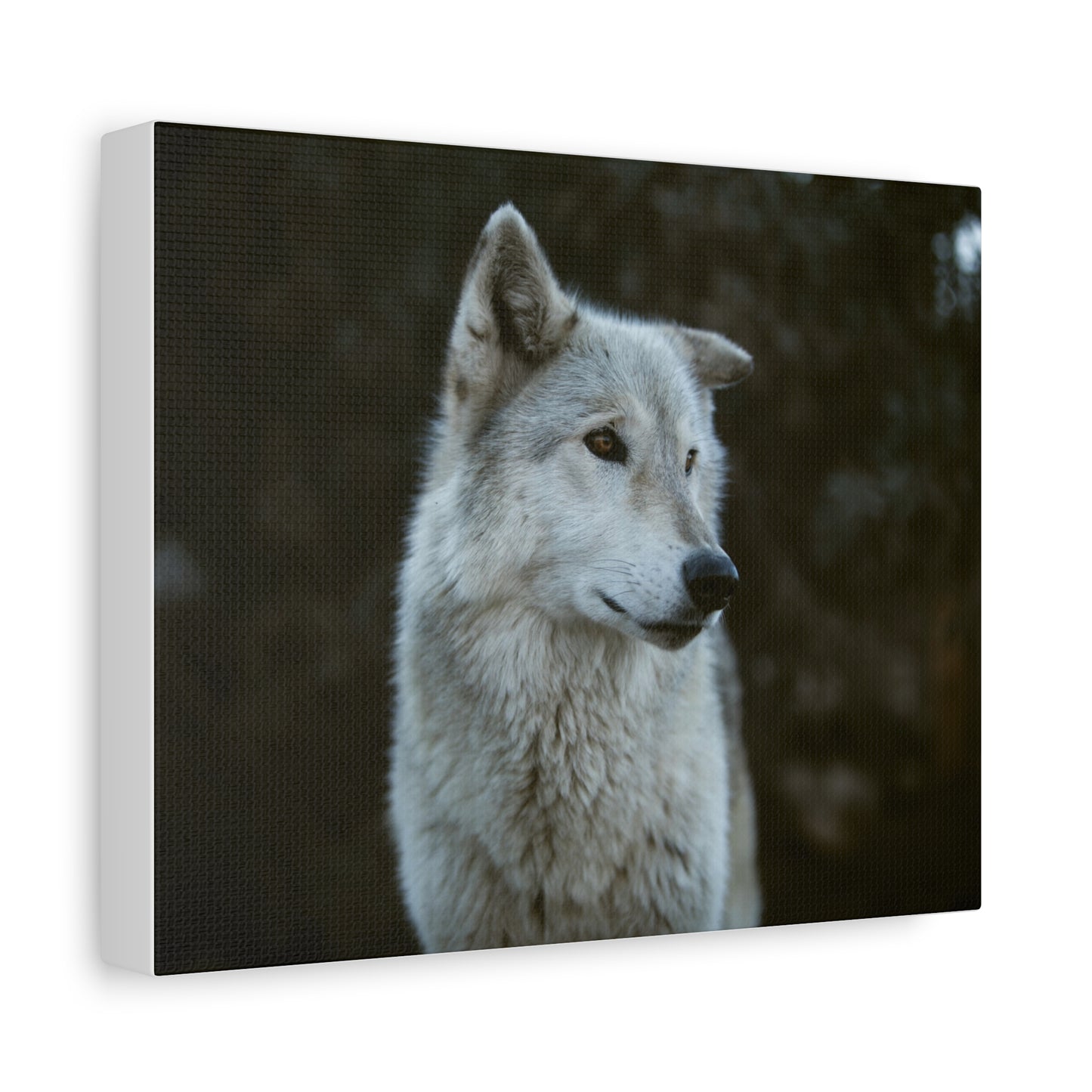 Willow Canvas Print