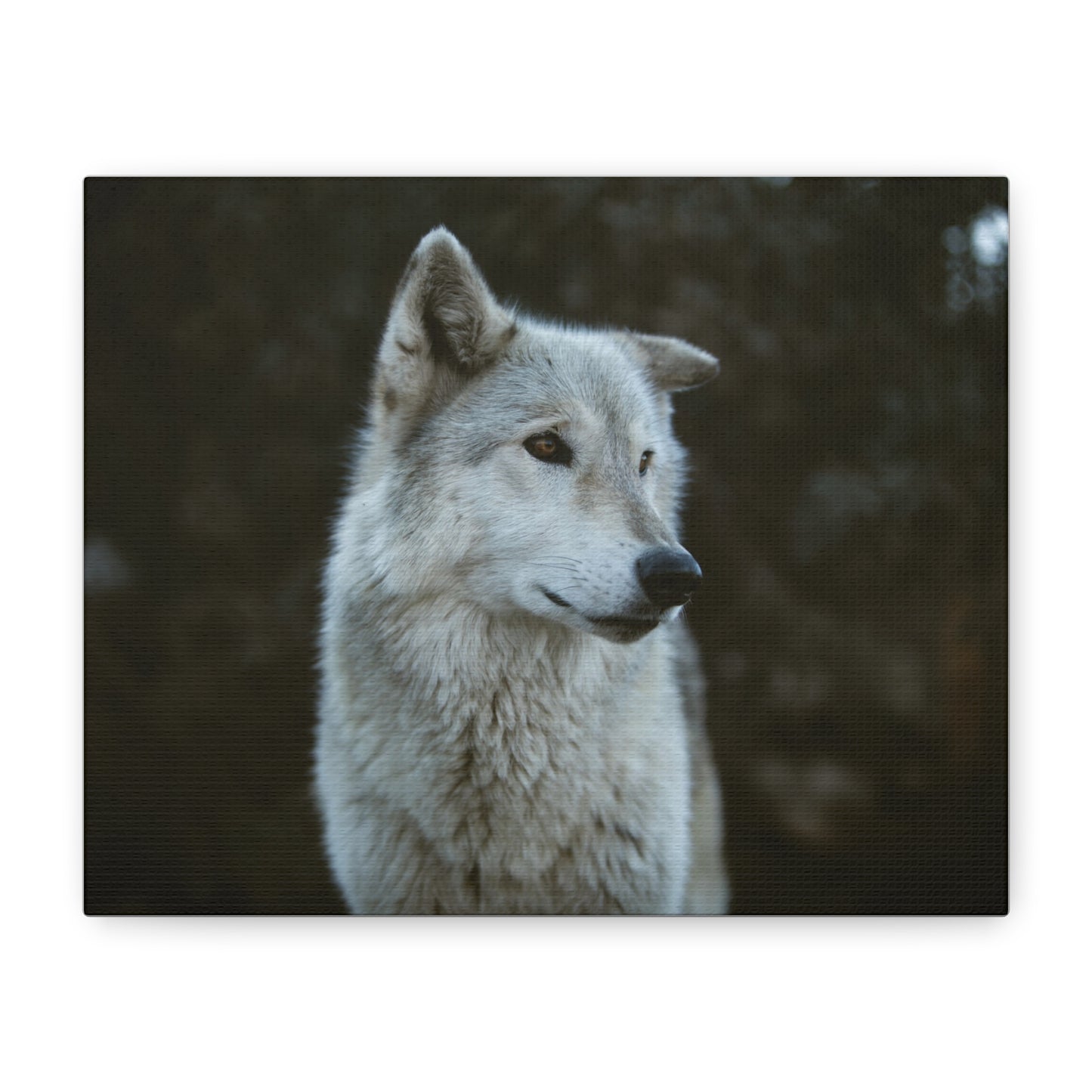 Willow Canvas Print