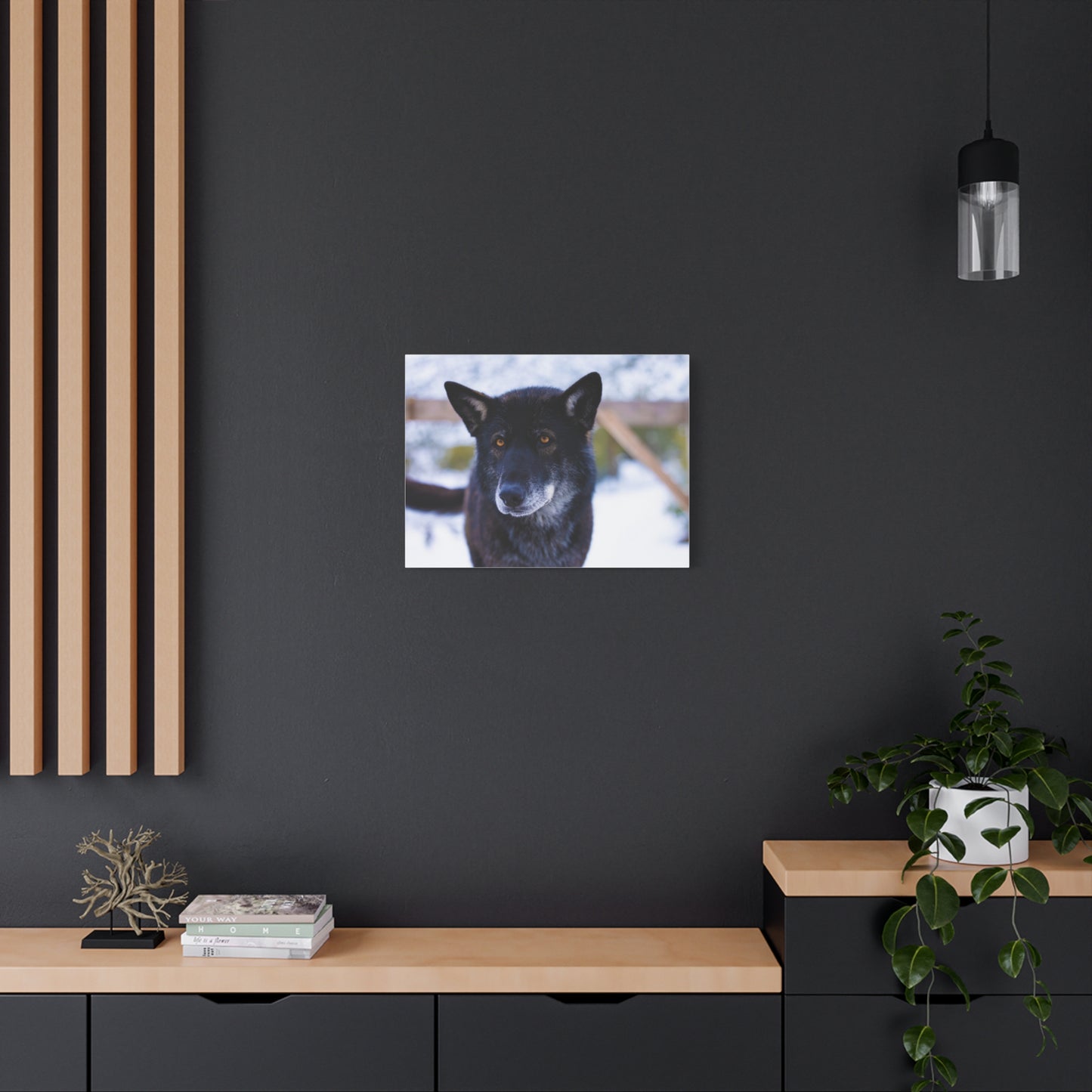 Gemma Canvas Print