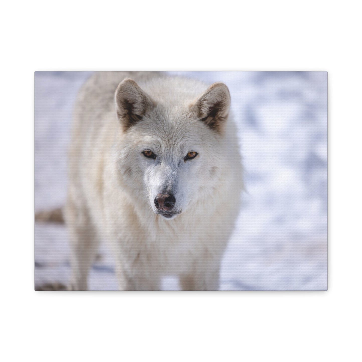 Charlee Canvas Print