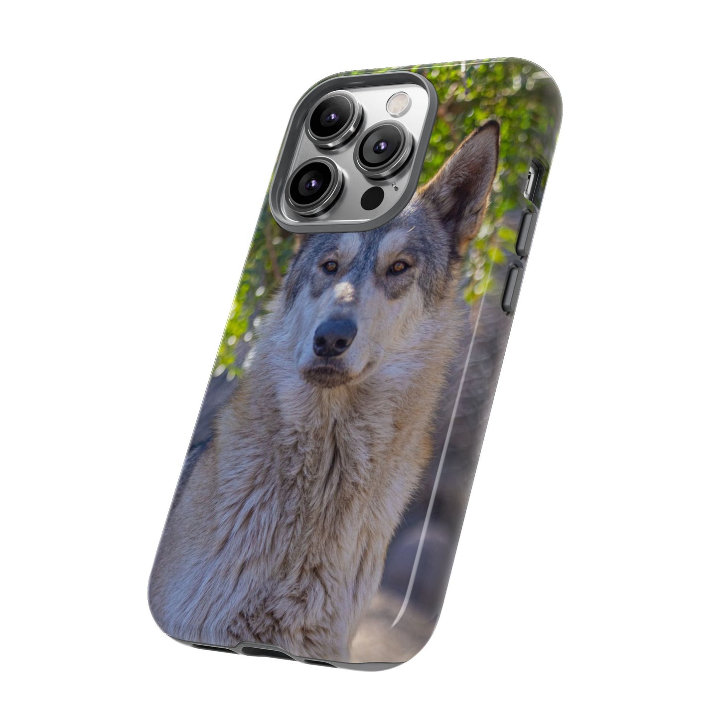 Rome Phone Case