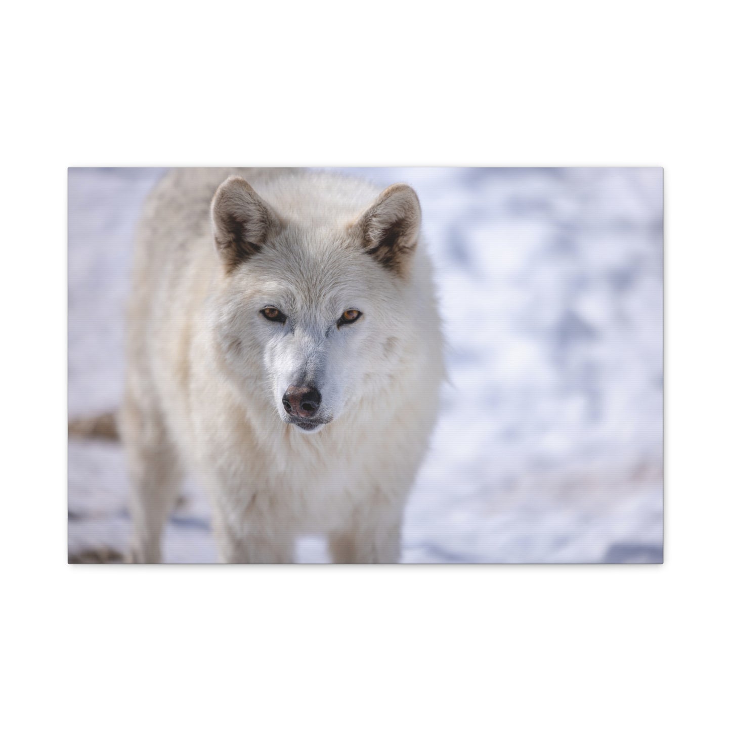 Charlee Canvas Print
